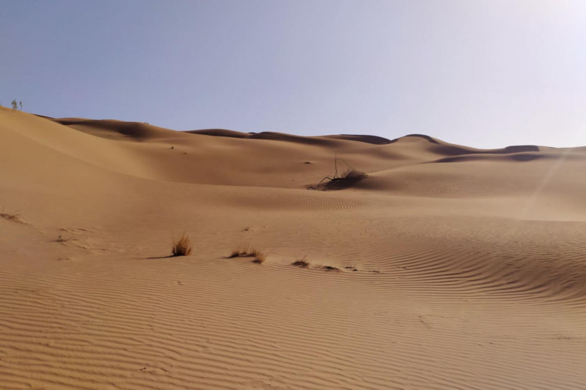 رمل‌های شنی کویر مصر