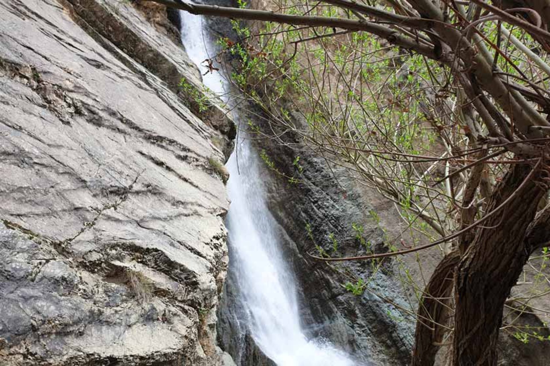 جریان خروشان آب در آبشار رندان