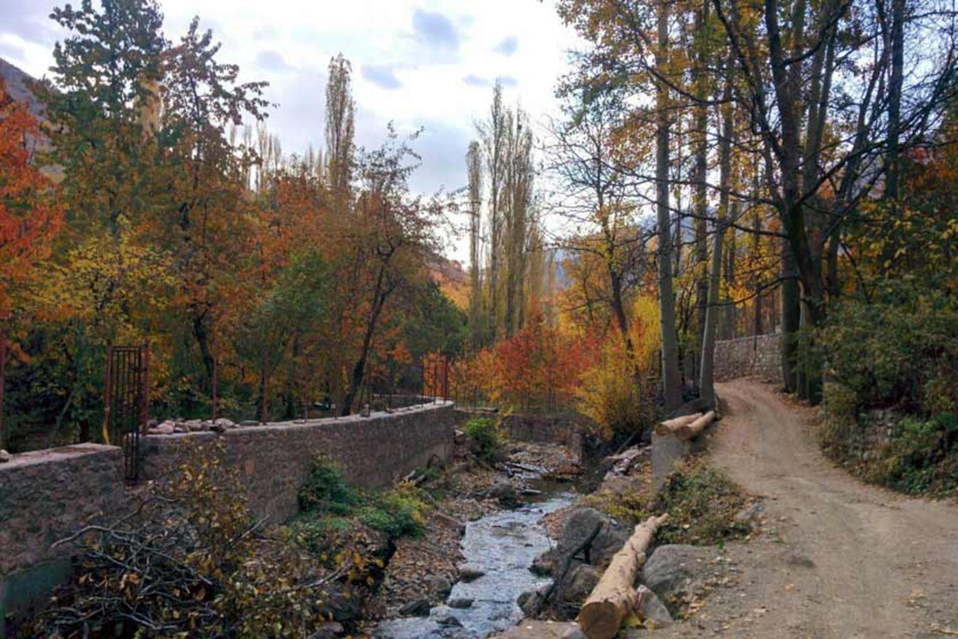 درختان پاییزی در روستای آهار