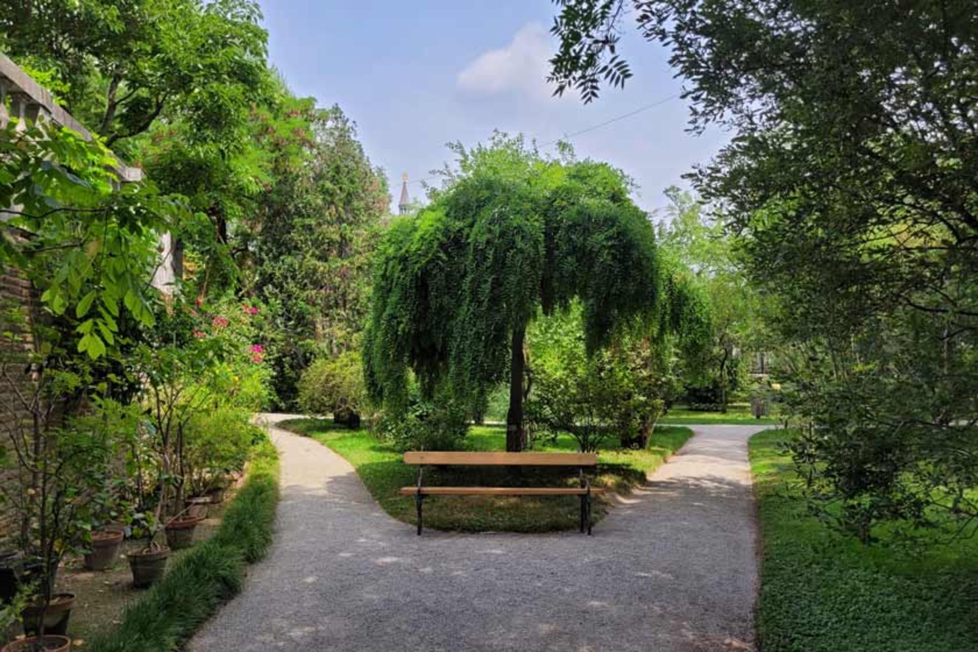 مسیرهای باغ گیاه شناسی پادووا
