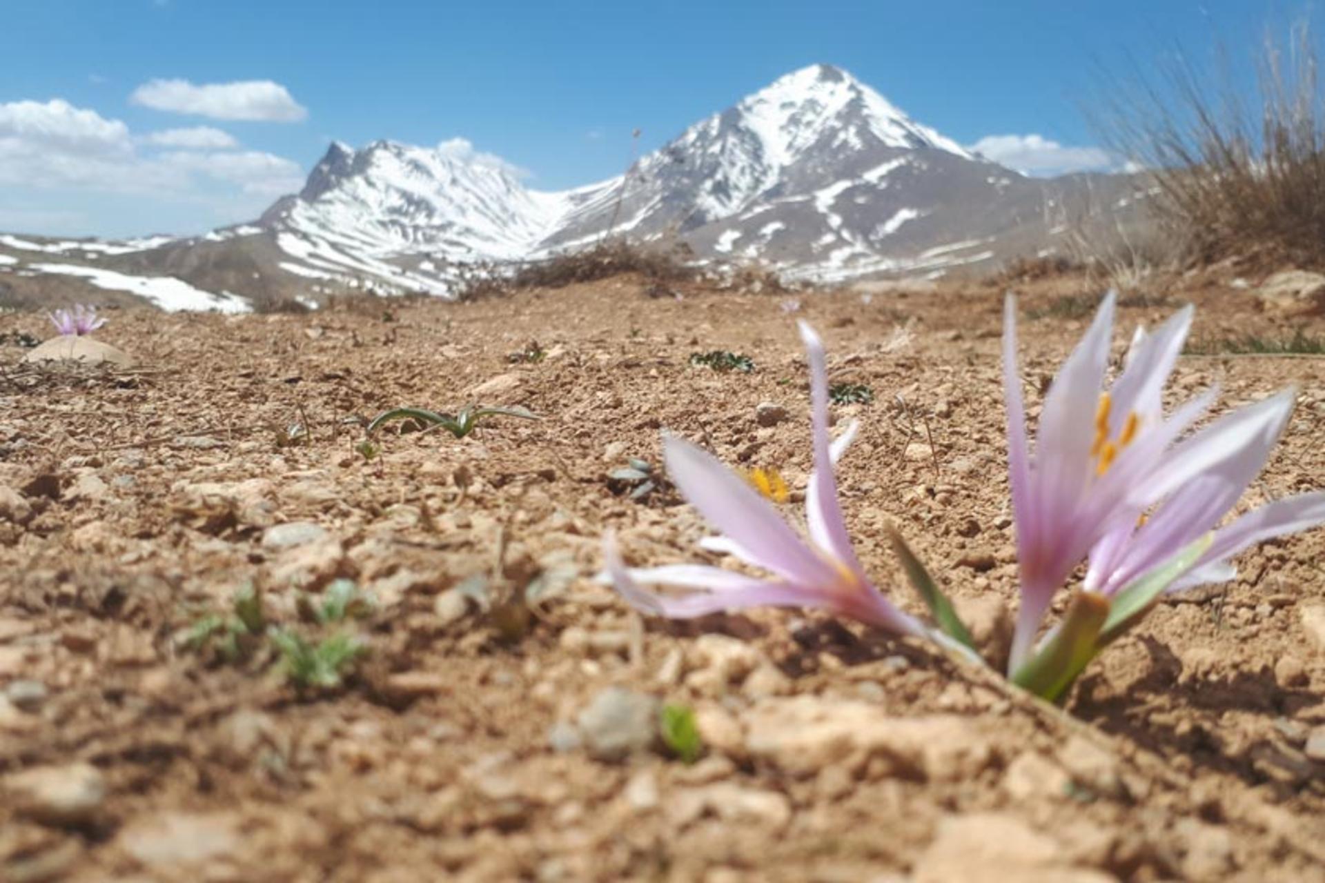 طبیعت کوهستانی روستای انالوجه