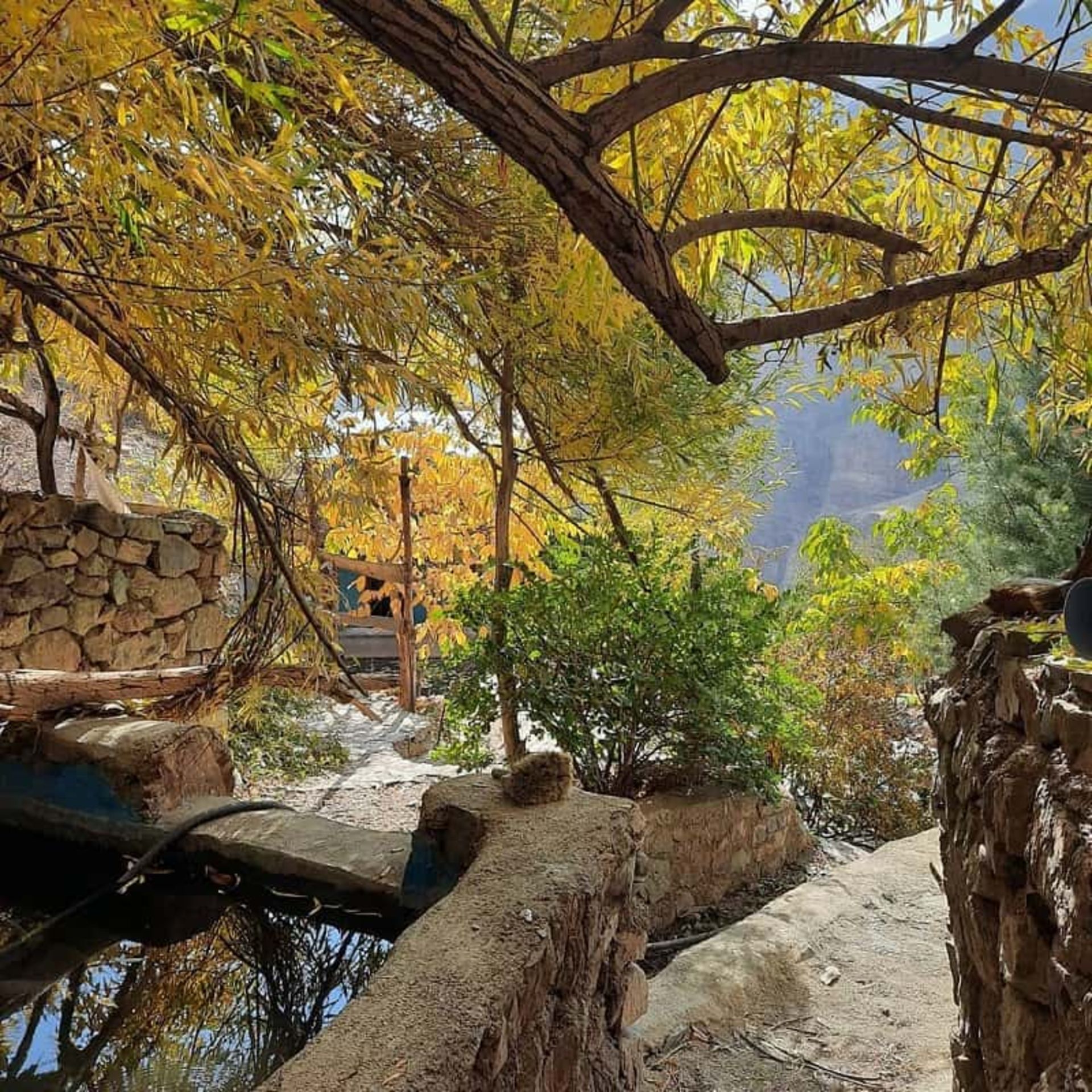 محوطه ارگ سنگی سنگان