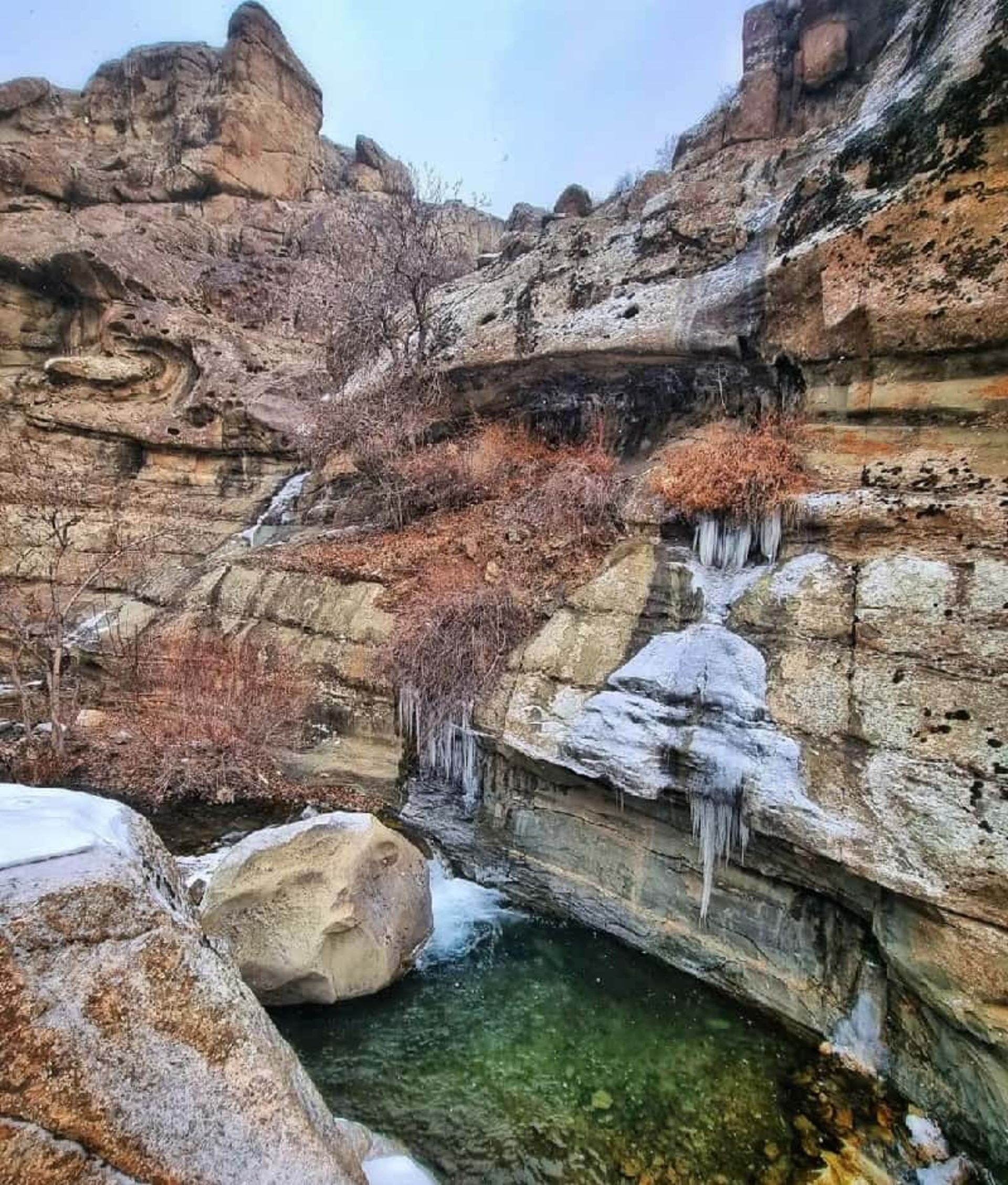 چال ماهی