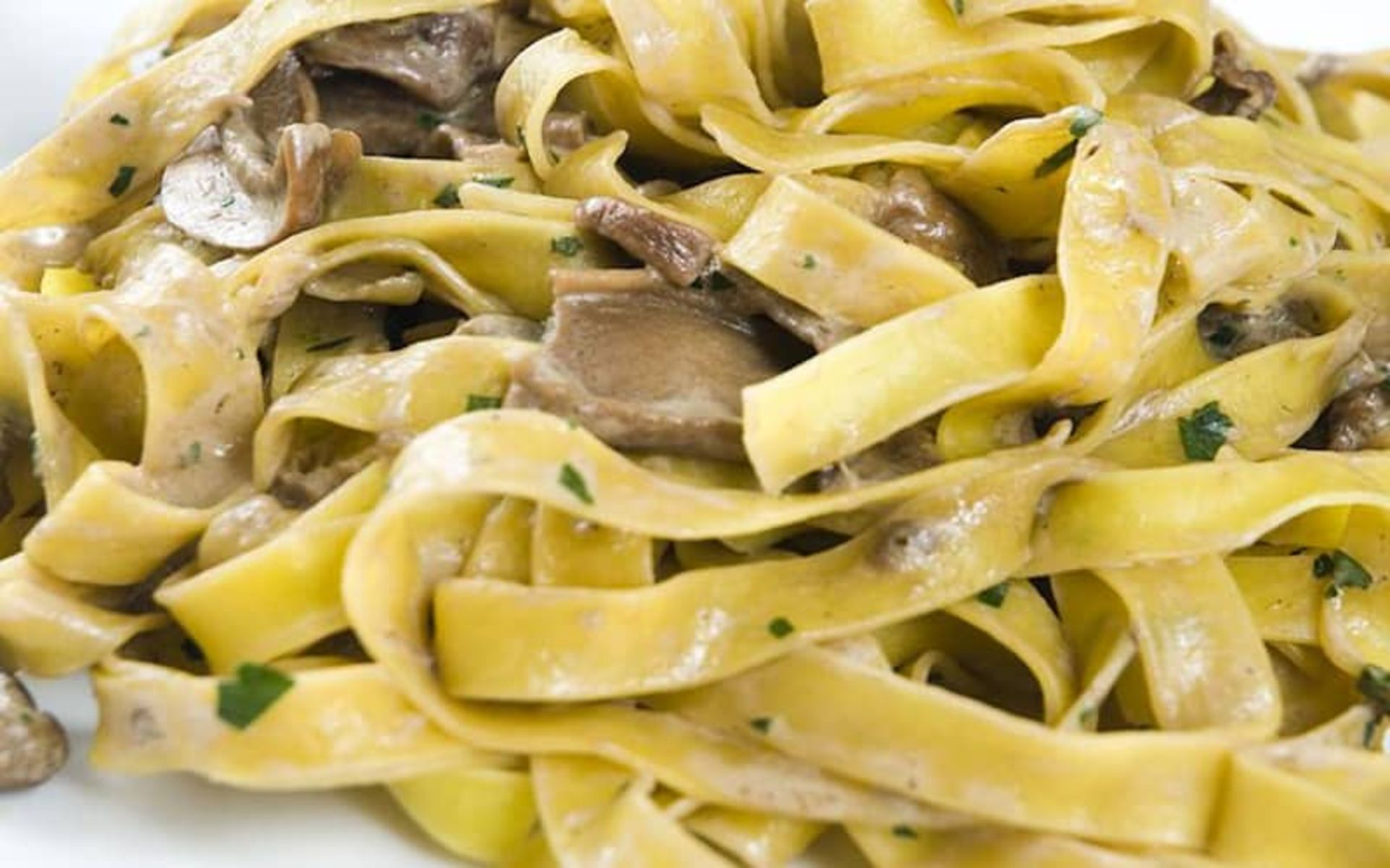 2023-4-26d3809e-d49c-4c94-9e4a-44678619001c