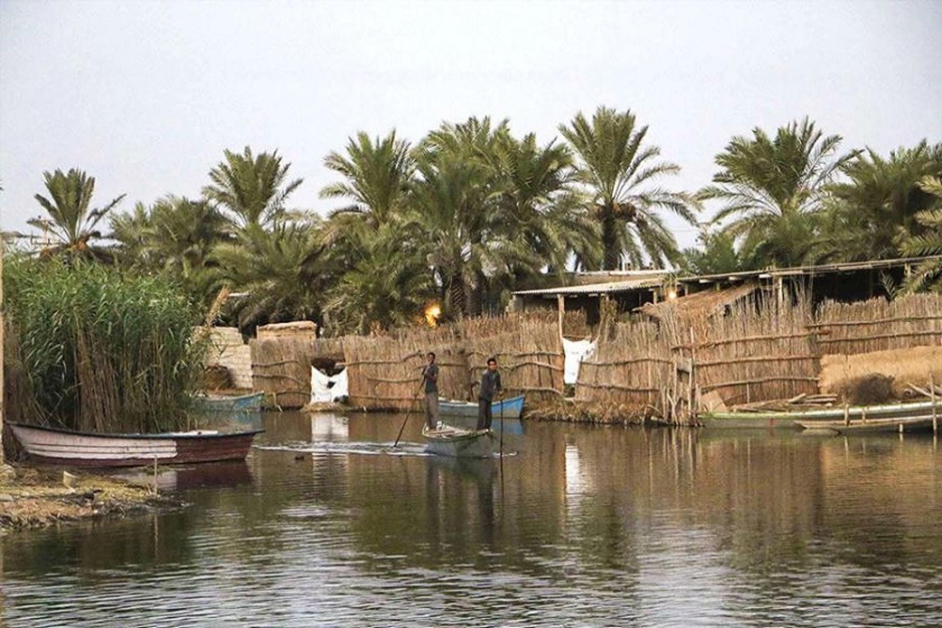 شادگان
