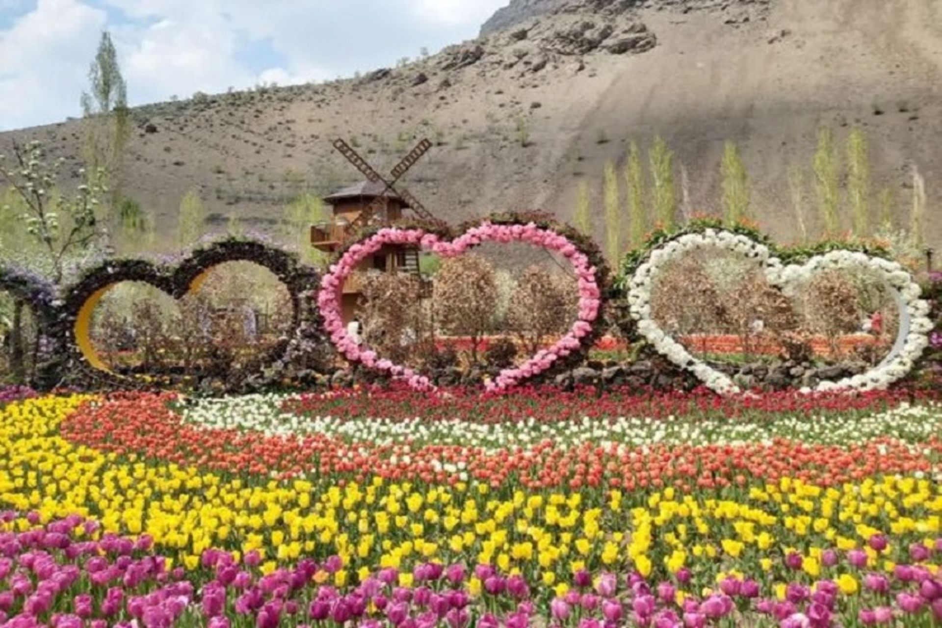 جشنواره گل آسارا