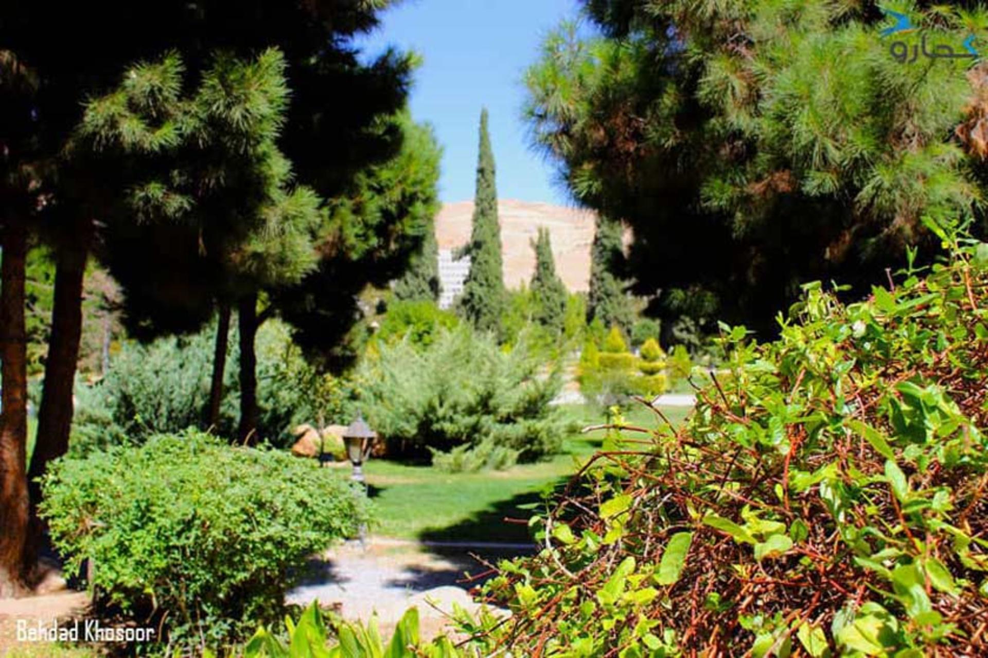 باغ ارم شیراز