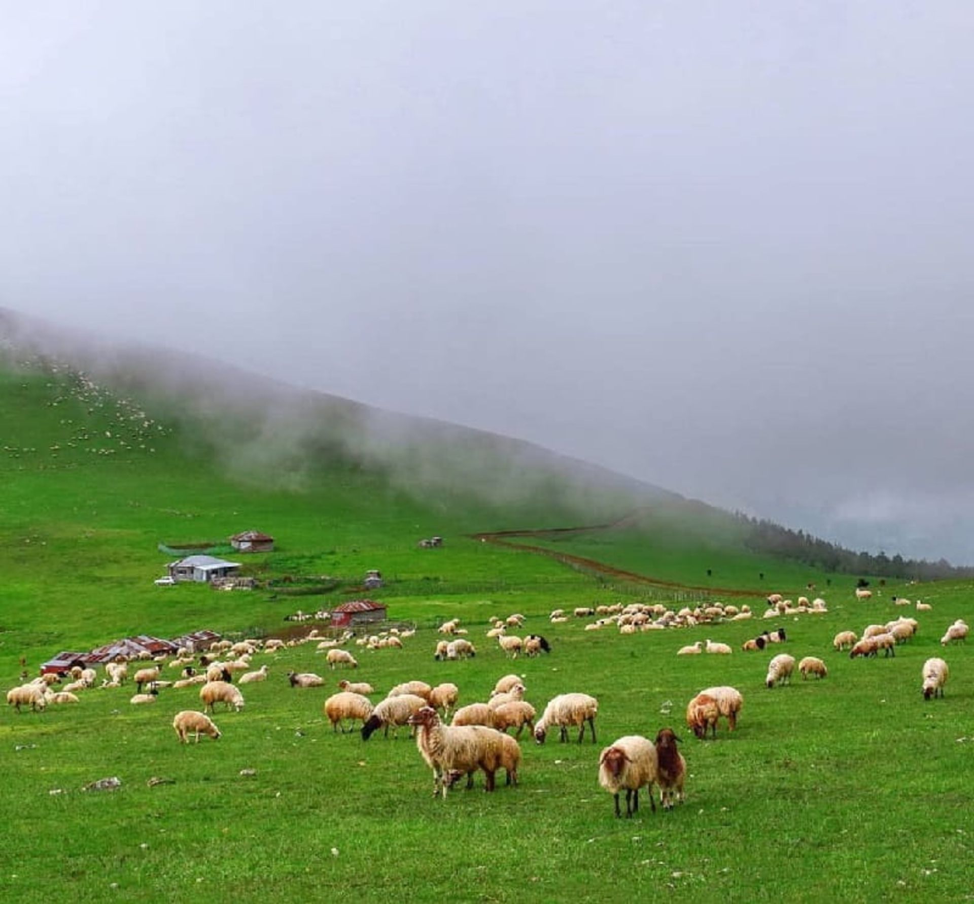 ییلاق لرزره