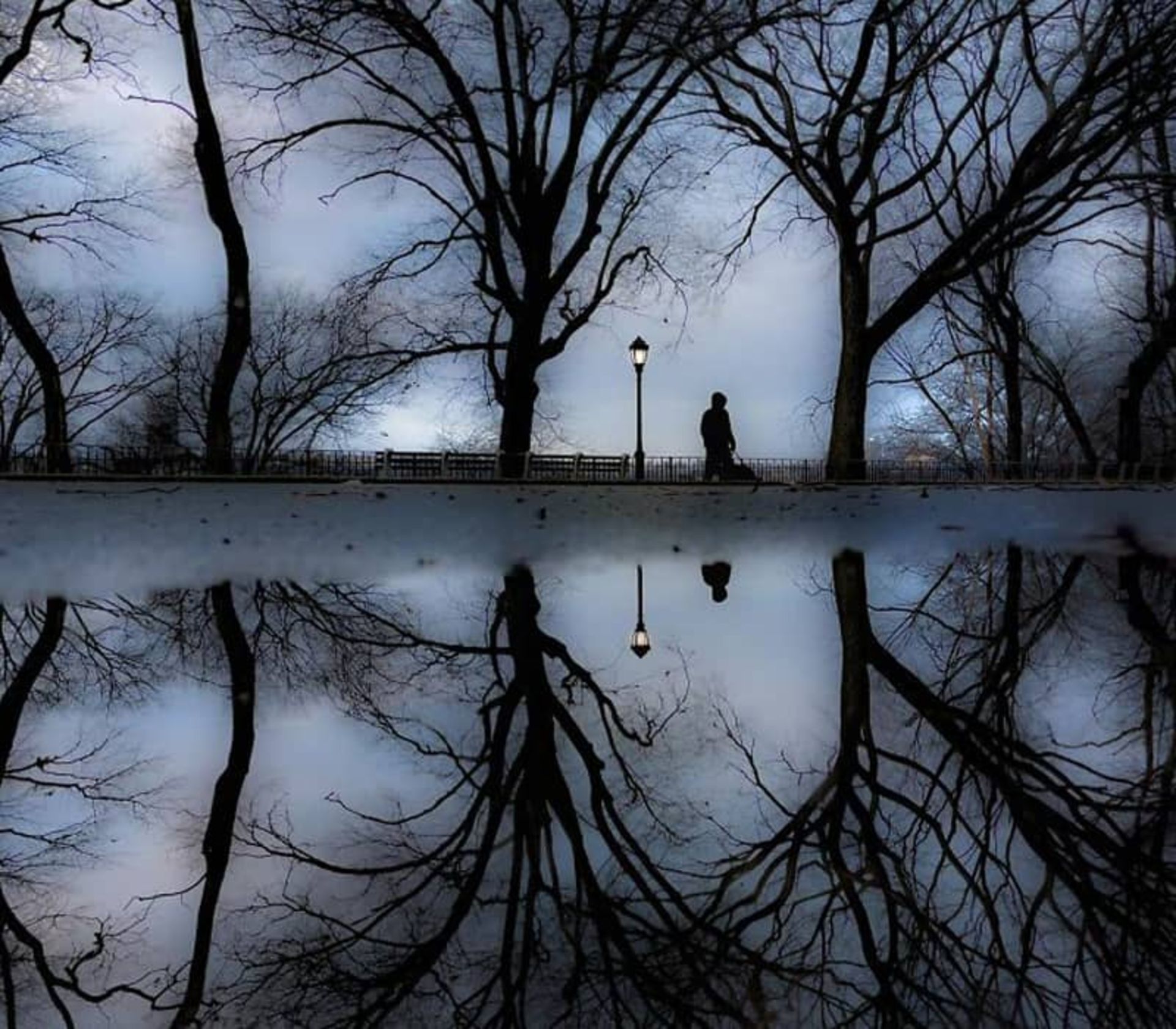 انعکاس تصویر یک مرد و درختان در آب رودخانه