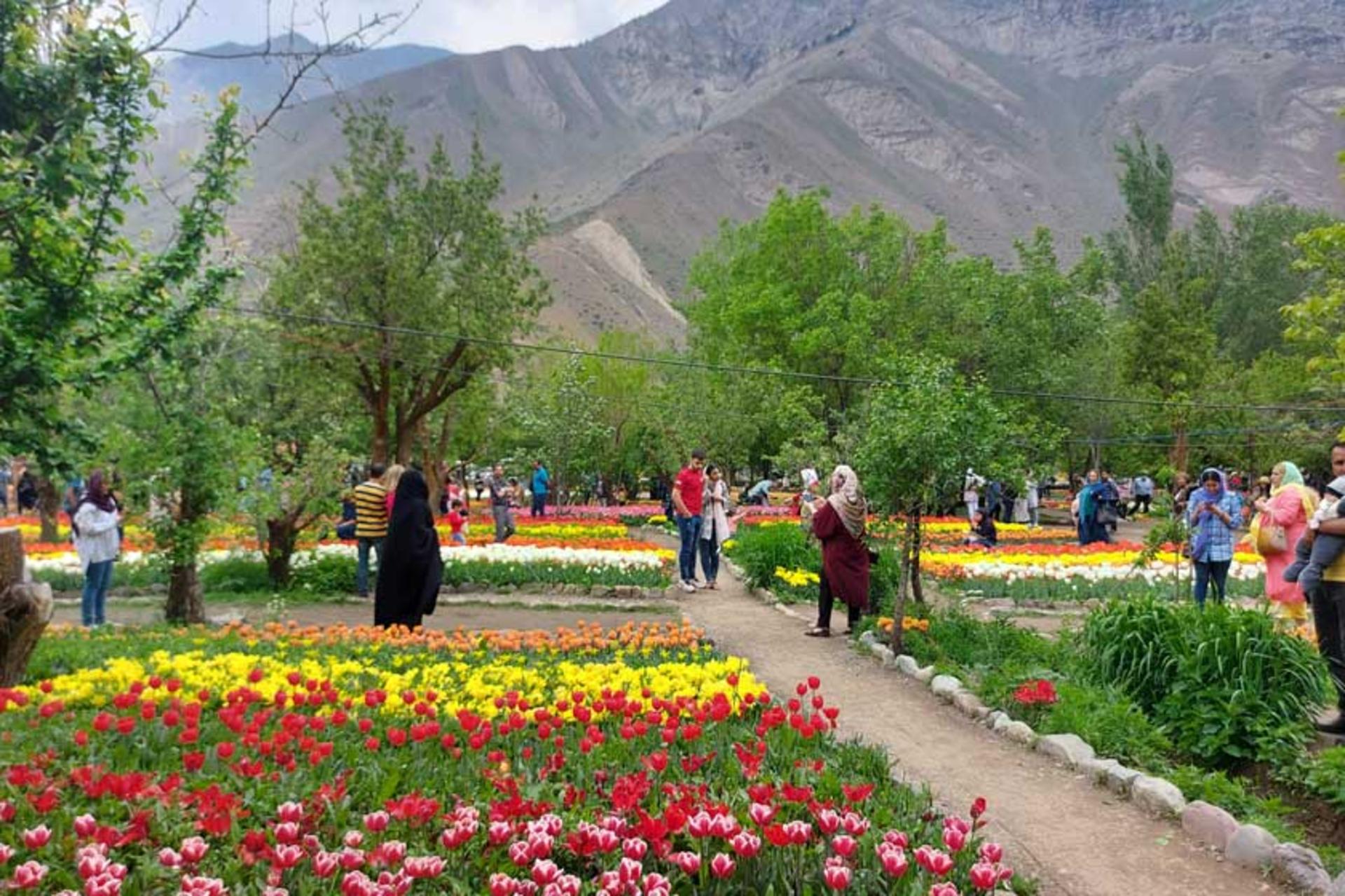 گردشگران در باغ لاله آسارا