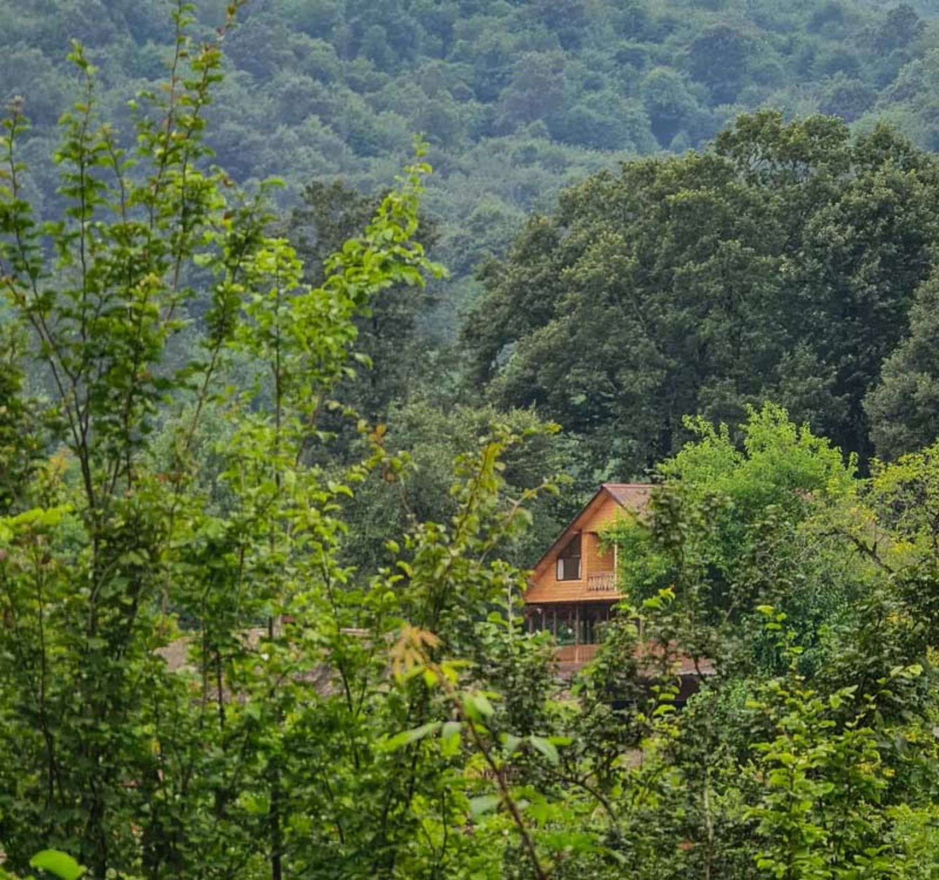 بومگردی بهشت موشنگاه در نزدیکی جنگل‌های سراوان؛ منبع عکس: اینستاگرام paradise_ecolodge، عکاس: نامشخص