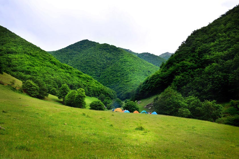 جنگل ارسباران کجاست | مسیر دسترسی + عکس و راهنمای سفر