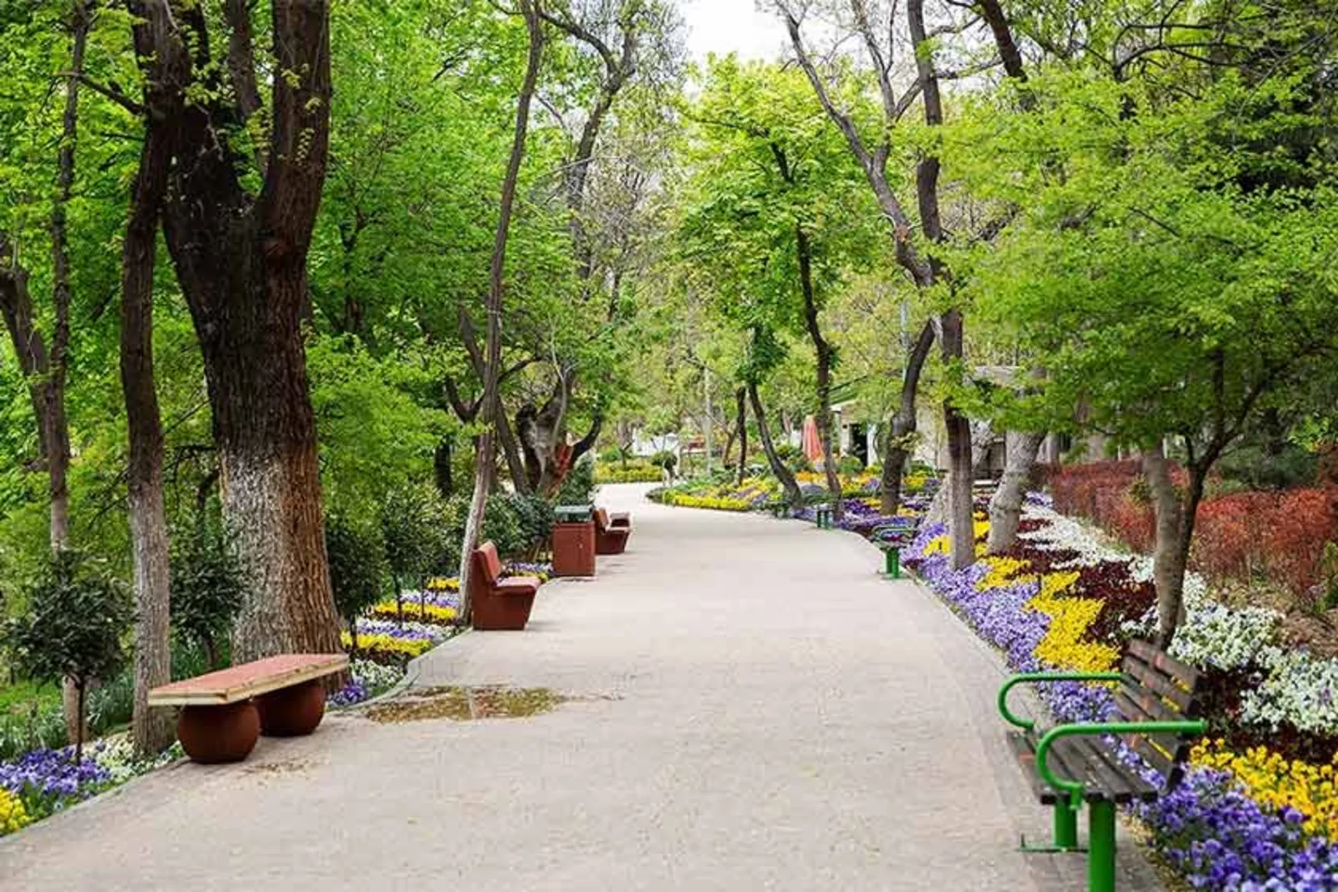 بهار در پارک قیطریه