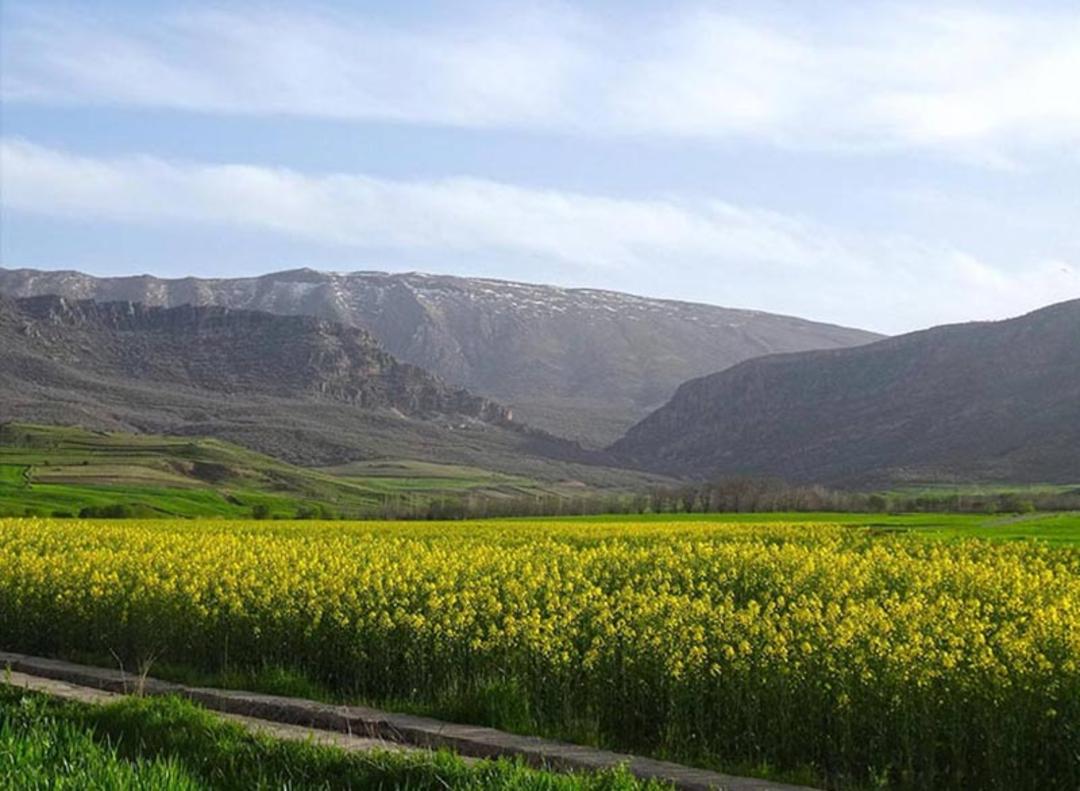 طبیعت اطراف روستای کلیایی 