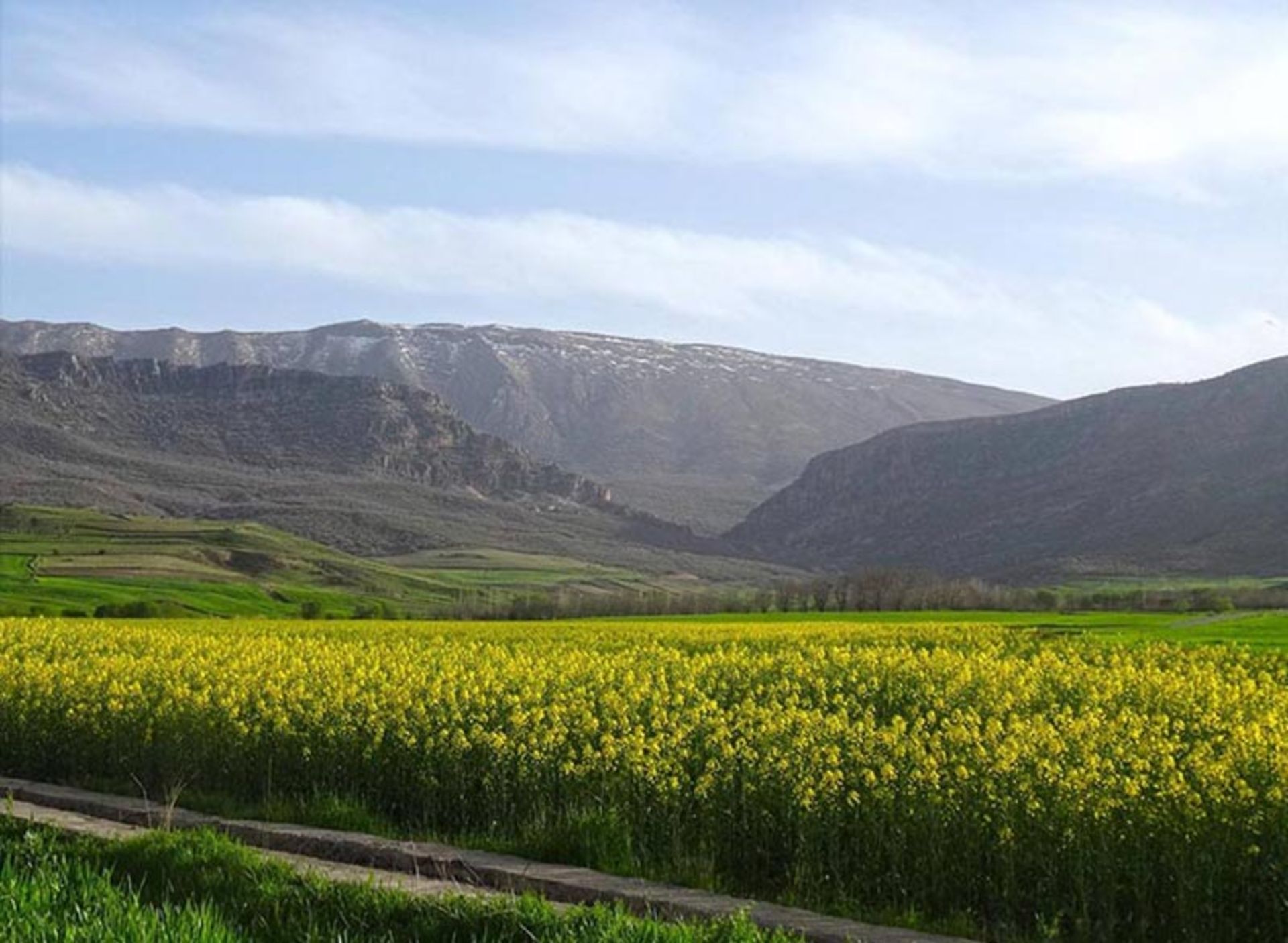 طبیعت اطراف روستای کلیایی 