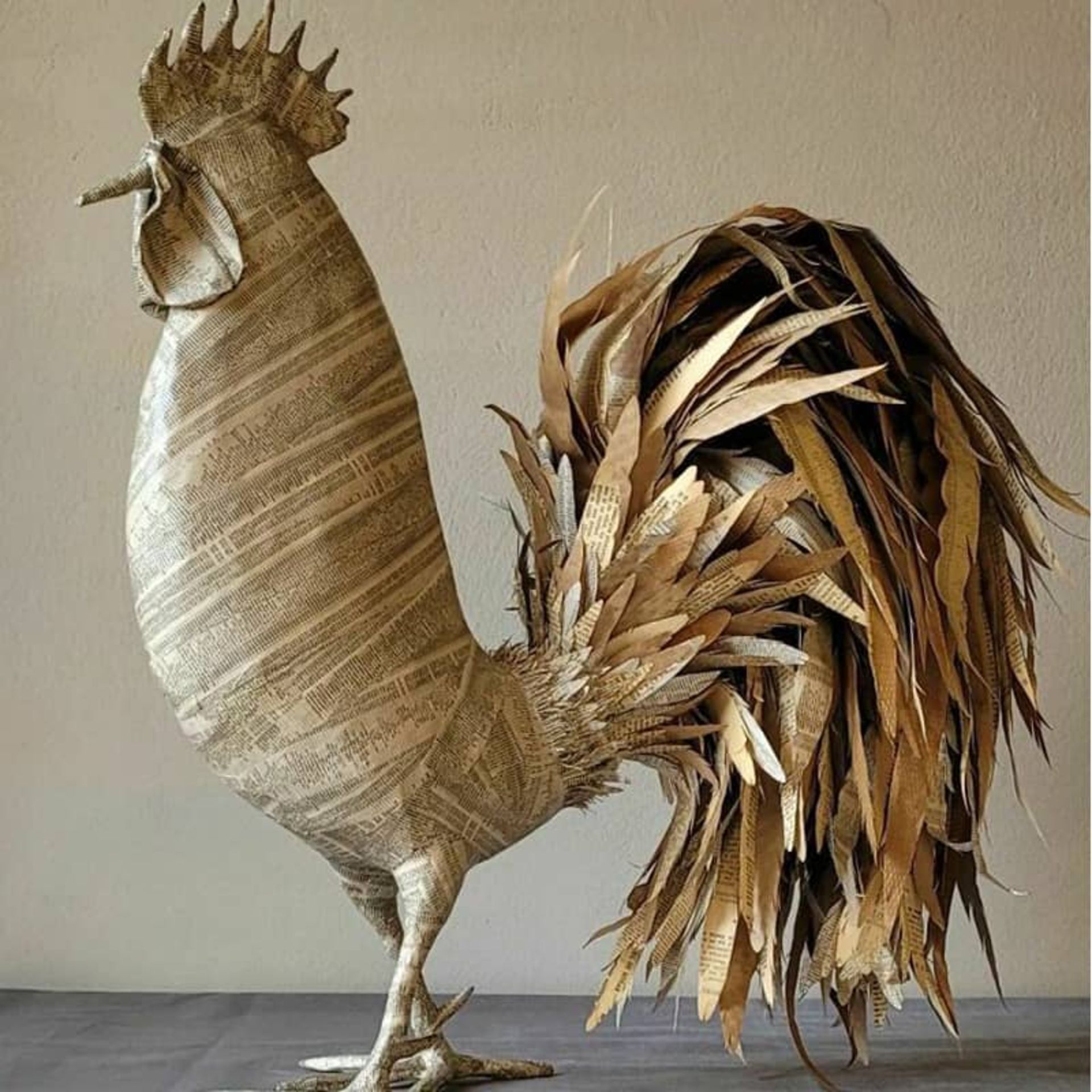 عکس خروس کاغذی
