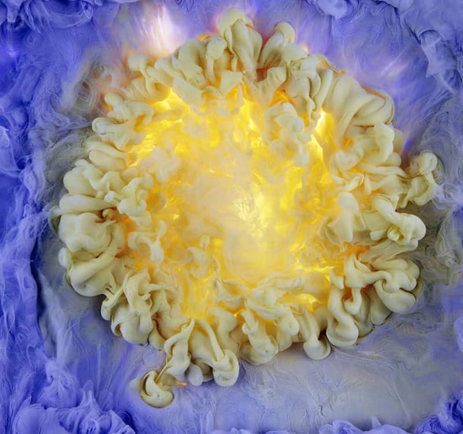گلی به رنگ زرد و آبی