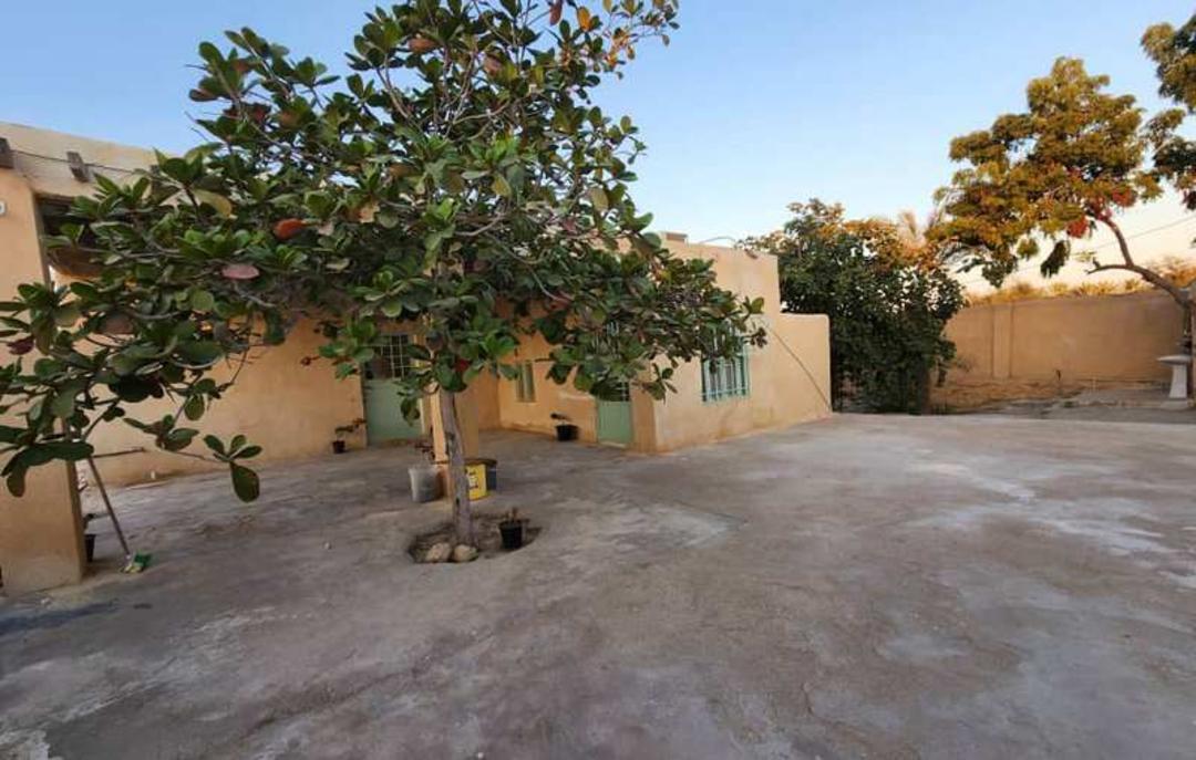بومگردی تورگن قشم