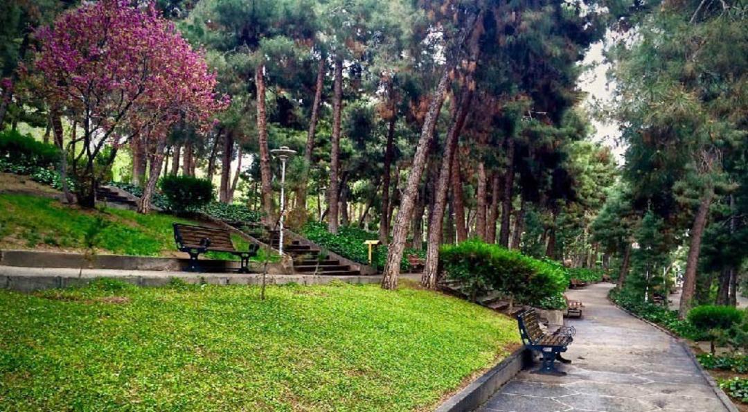 پارک جنگلی شیان
