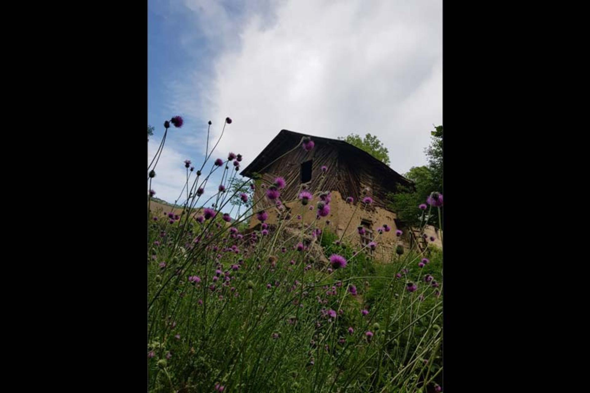 بهار در روستای جنت رودبار