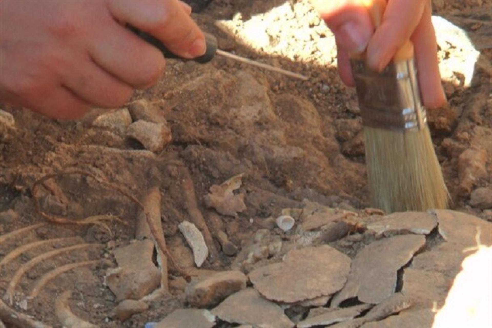 باستان شناسی