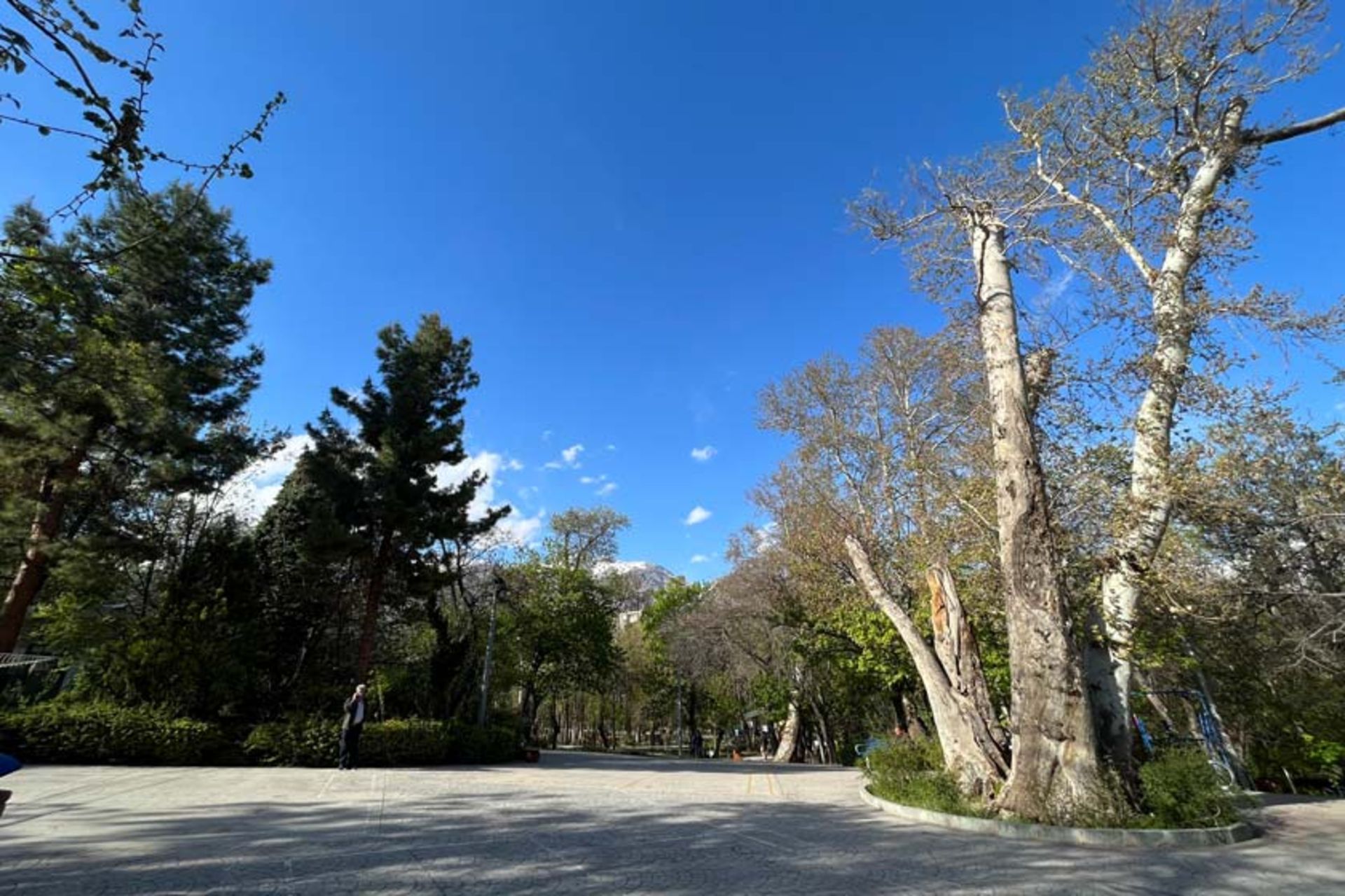 معابر پارک قیطریه