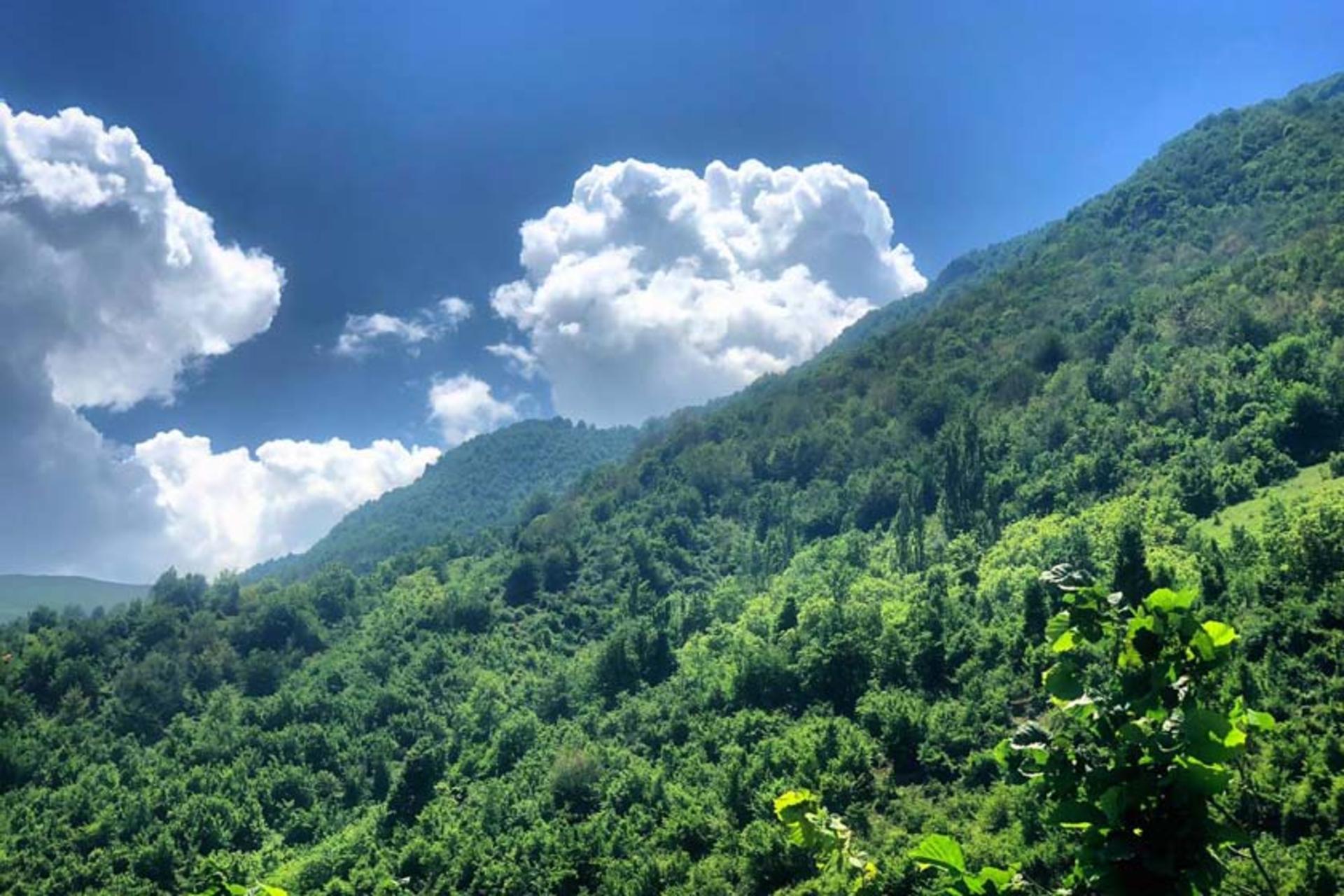 طبیعت بکر روستای جنت رودبار