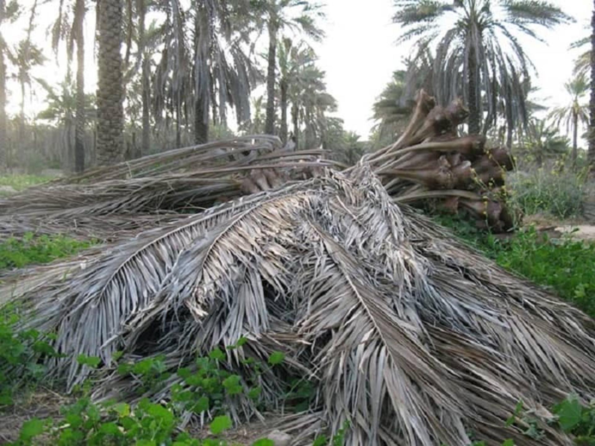 مواد اولیه کپوبافی