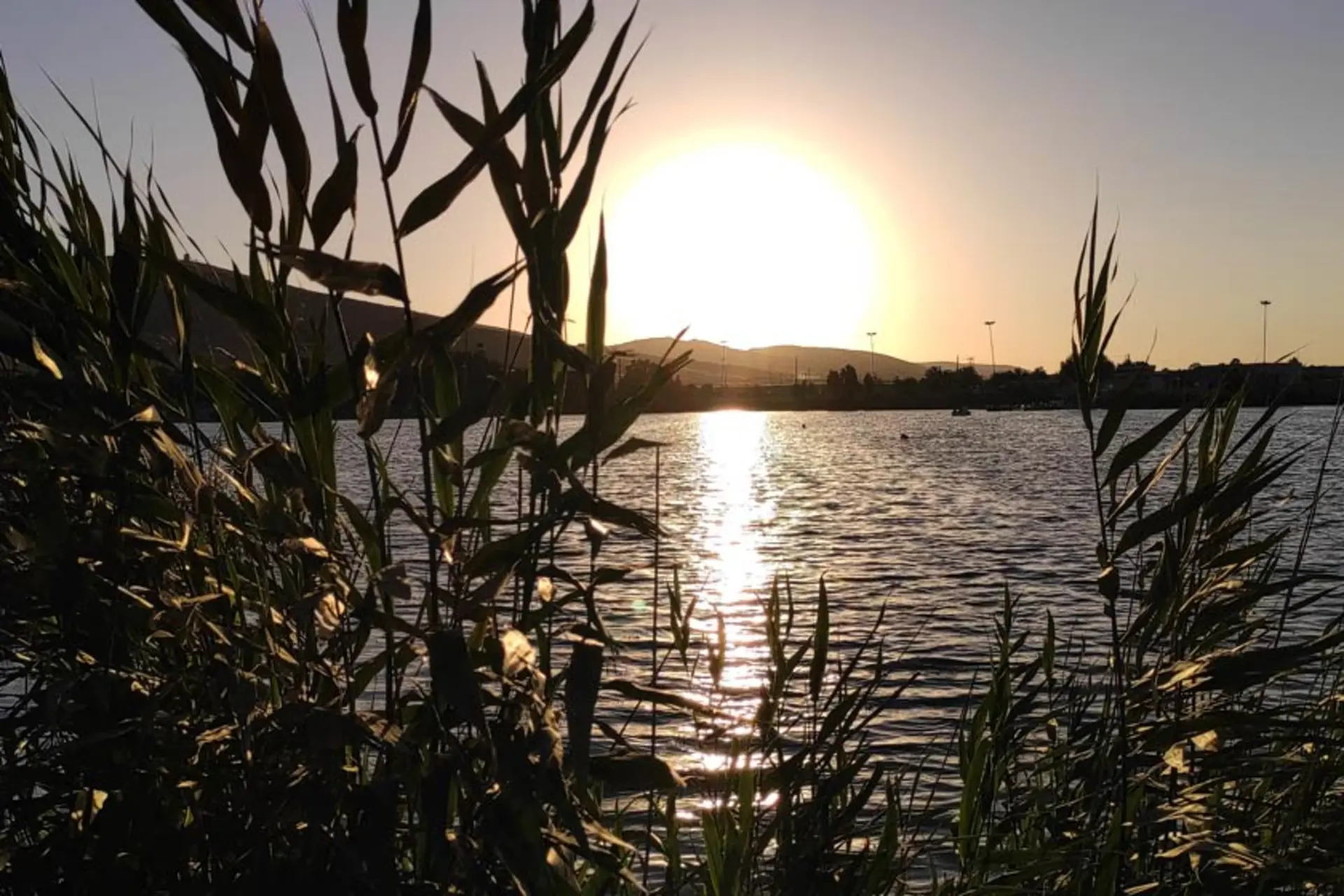 سراب نیلوفر کرمانشاه