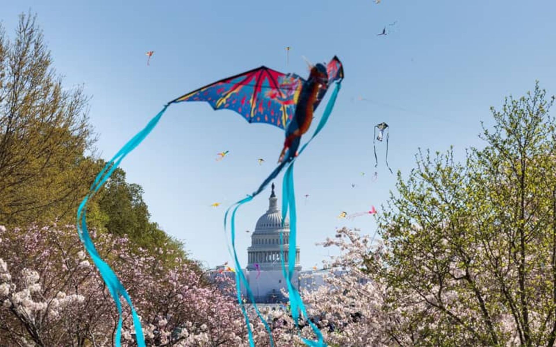 جشن بادبادک ها در نزدیکی کاخ سفید