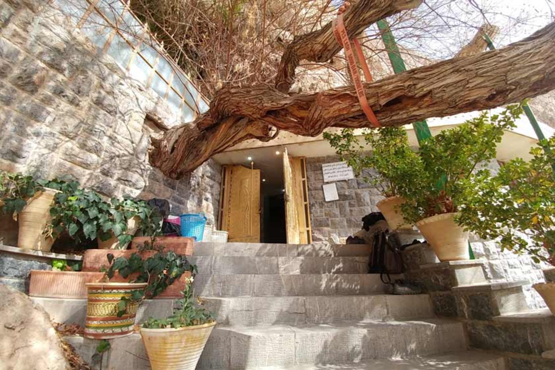 بخش‌های زیارتگاه چک چک