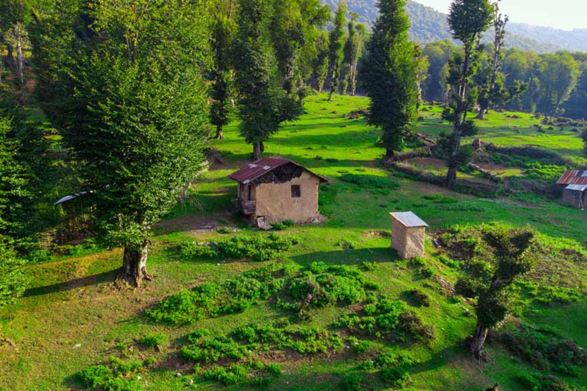 خانه‌های روستایی در ییلاق سی دشت
