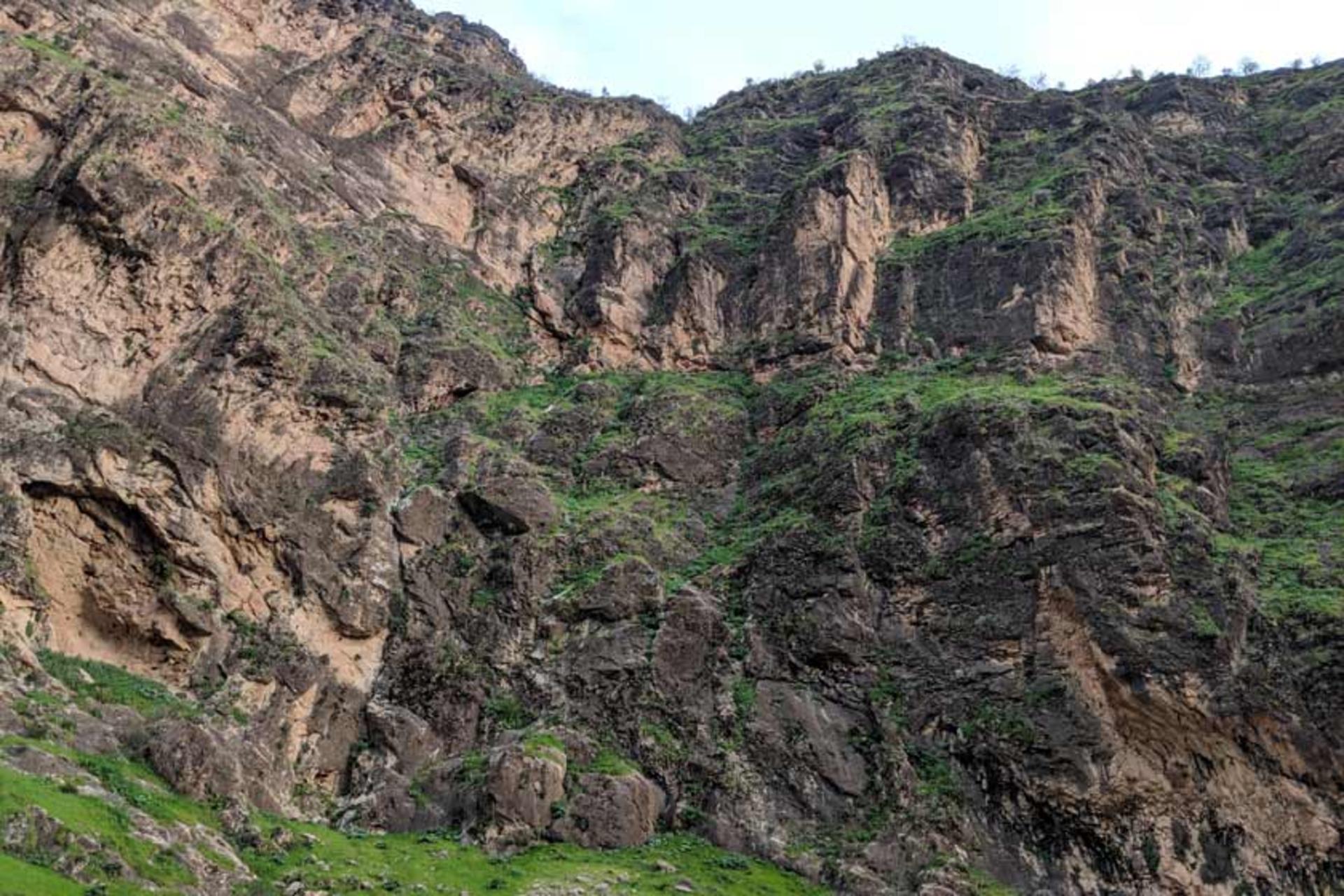 دیواره‌ خزه‌پوش تنگه کافرین