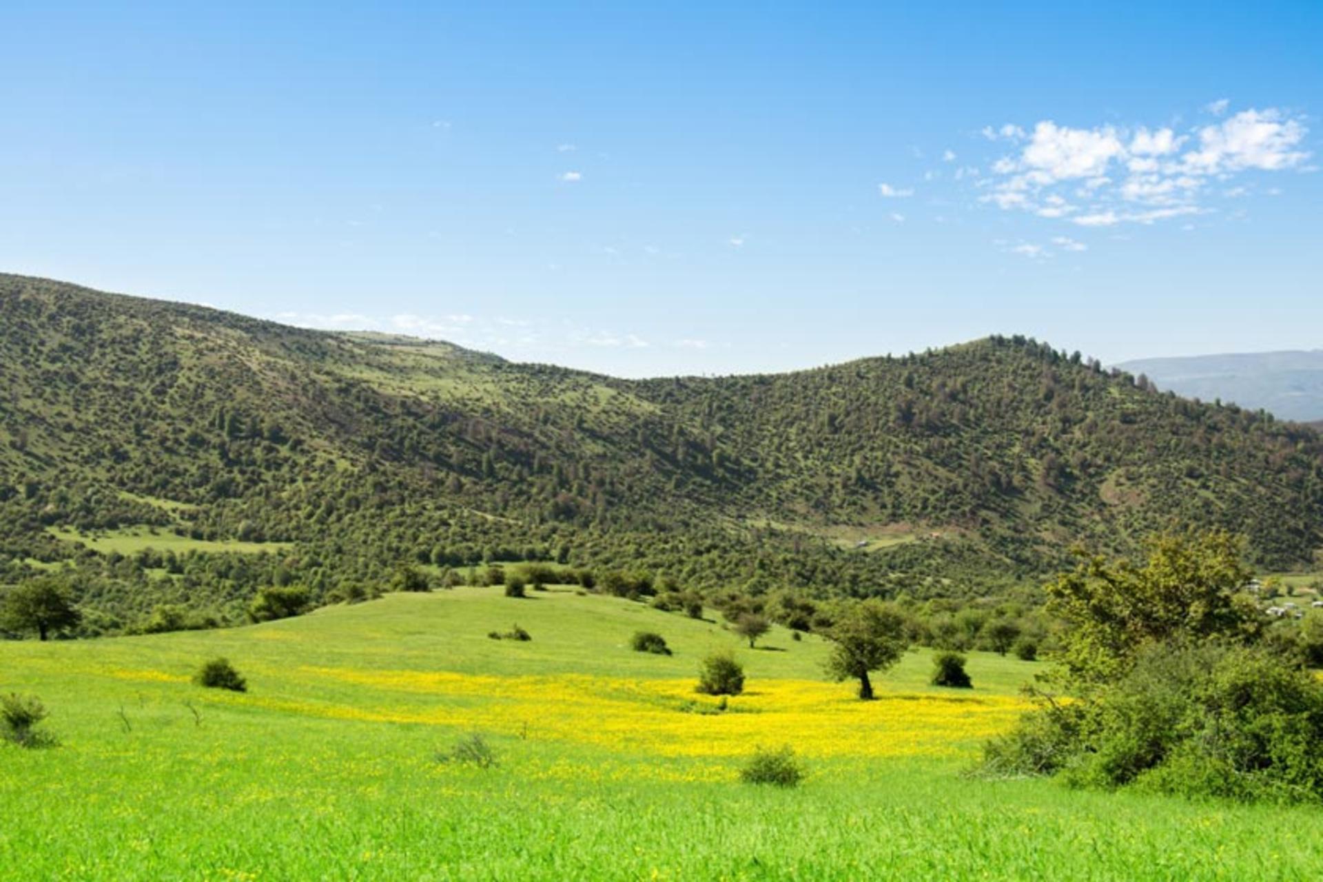 طبیعت سبز ییلاق سی دشت