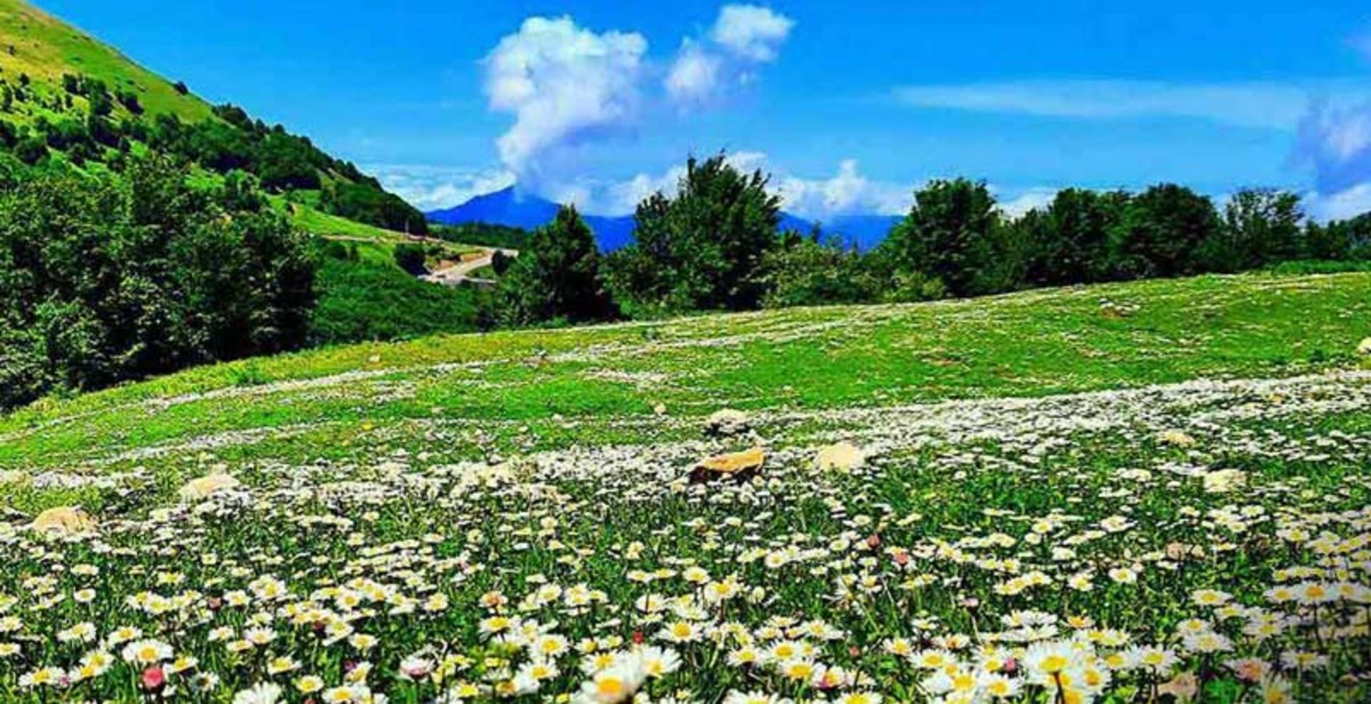 طبیعت بهاری سیاهگل گیلان