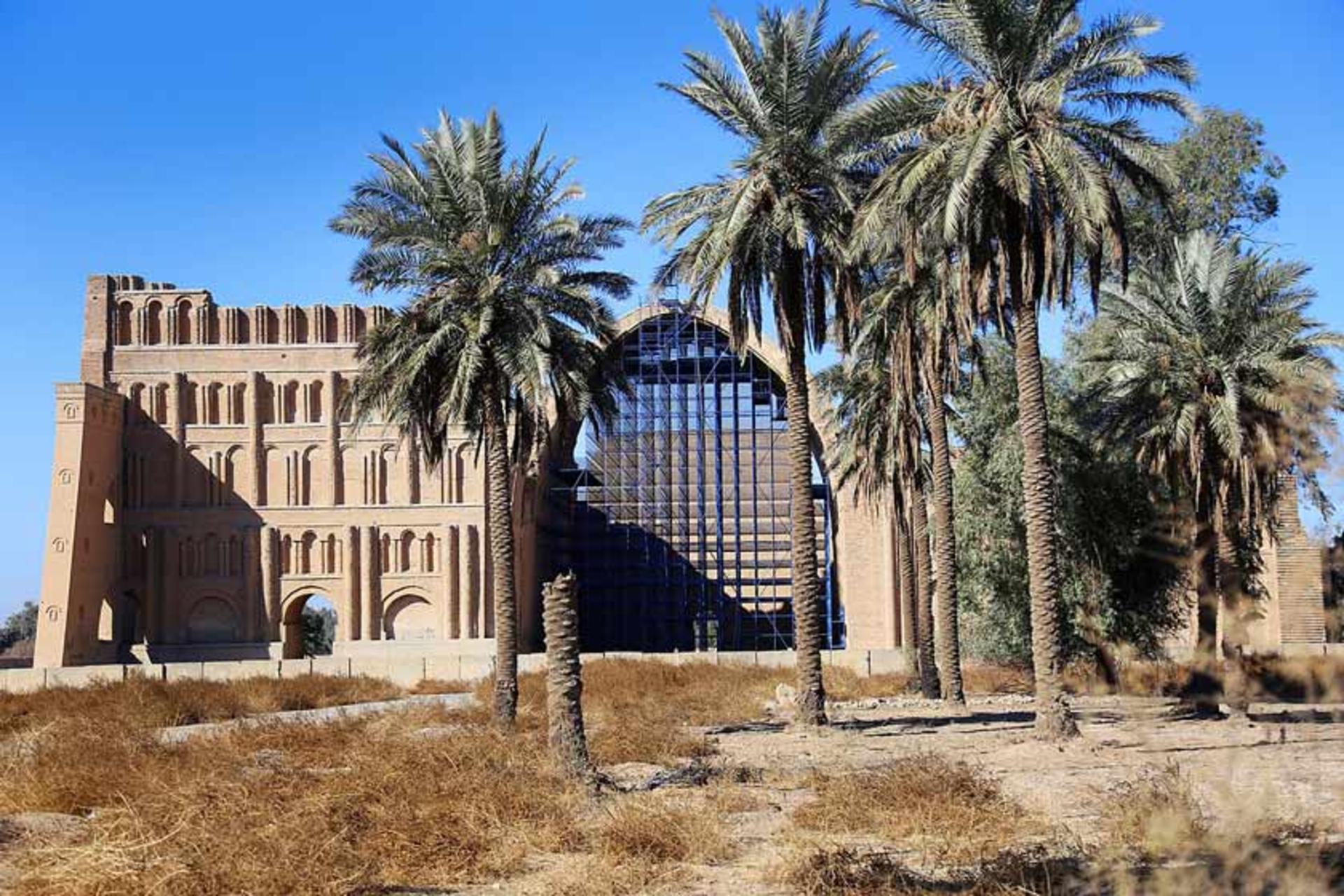 نخل‌ها در محوطه طاق کسری