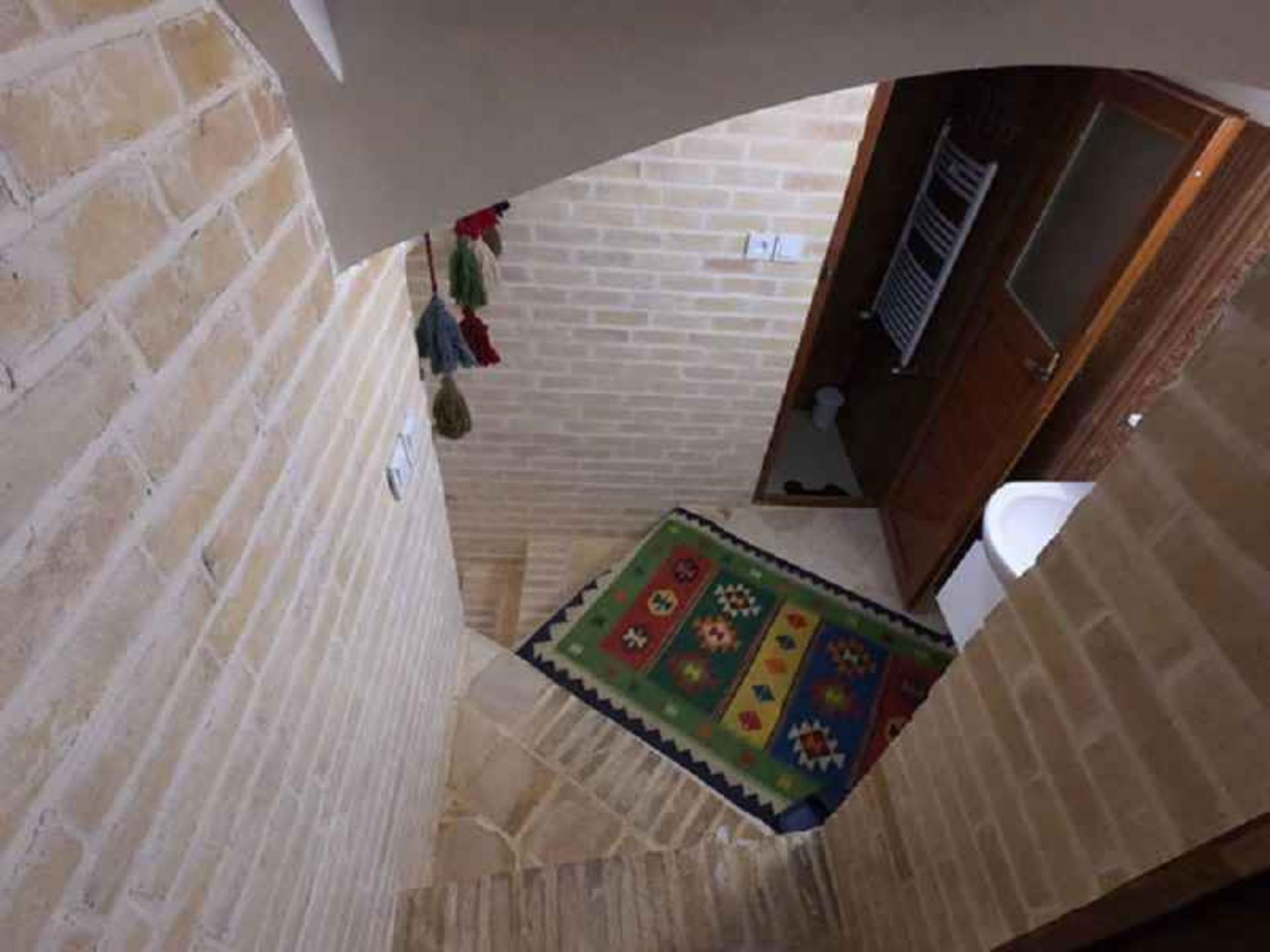 بومگردی اوسیس