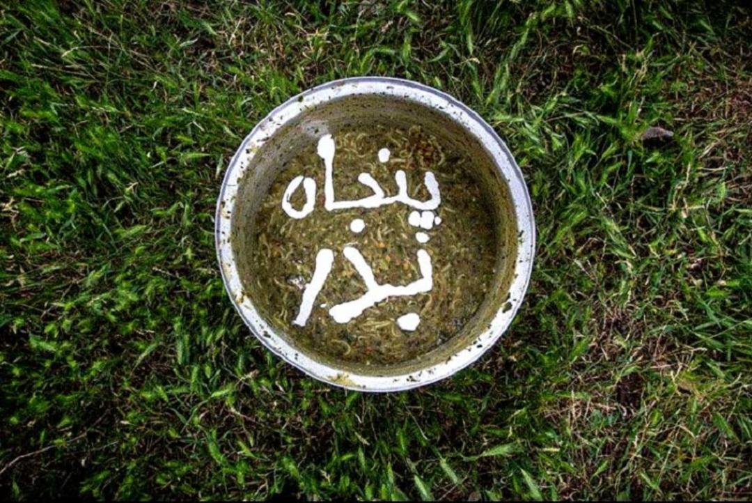پنجاه بدر
