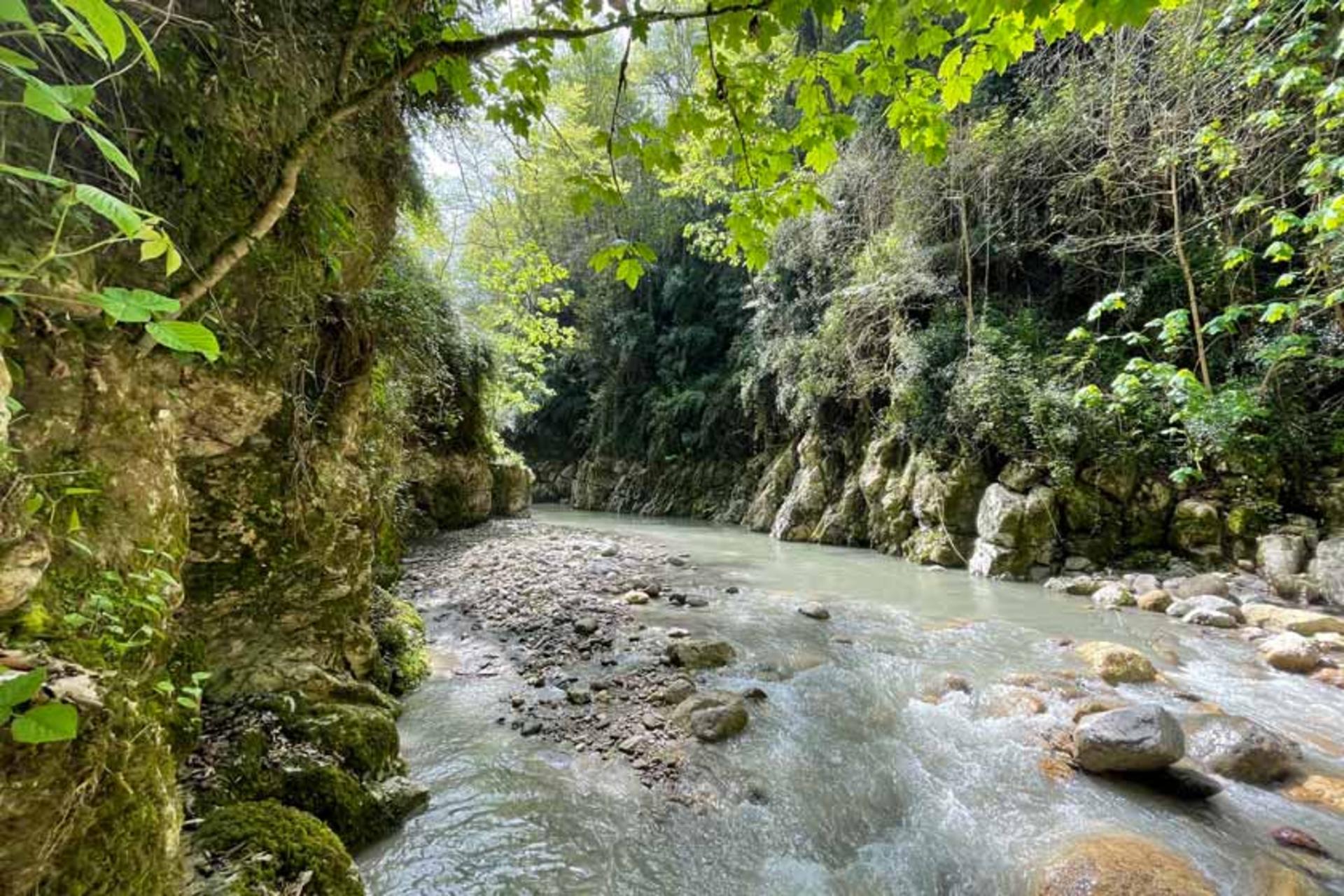 طبیعت‌گردی در تنگ دار