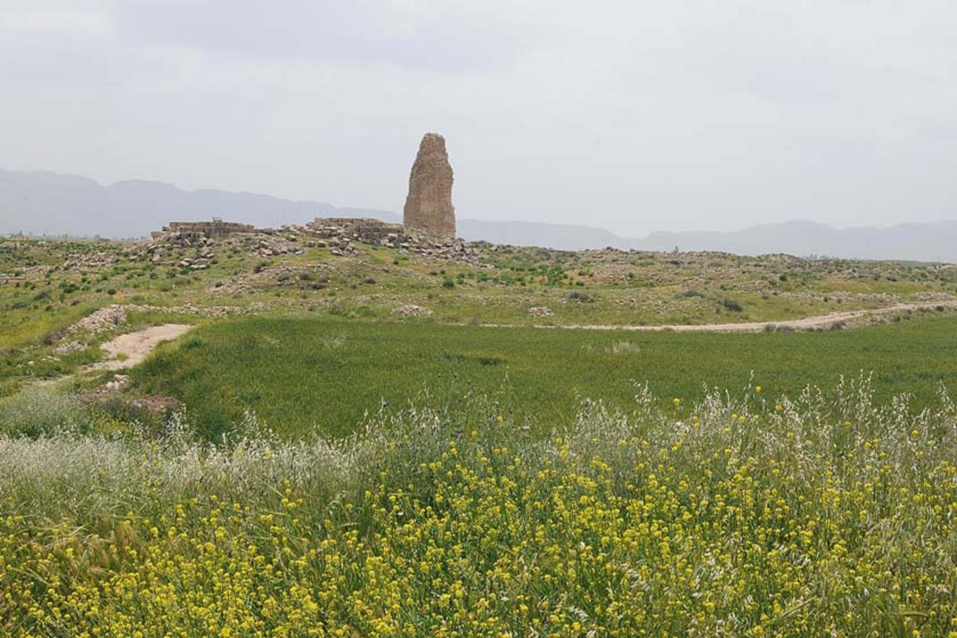 بهار در شهر باستانی فیروزآباد