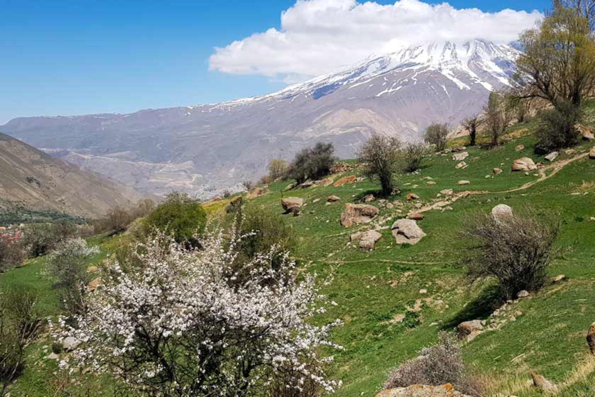چشم‌انداز قله دماوند در دشت آزو