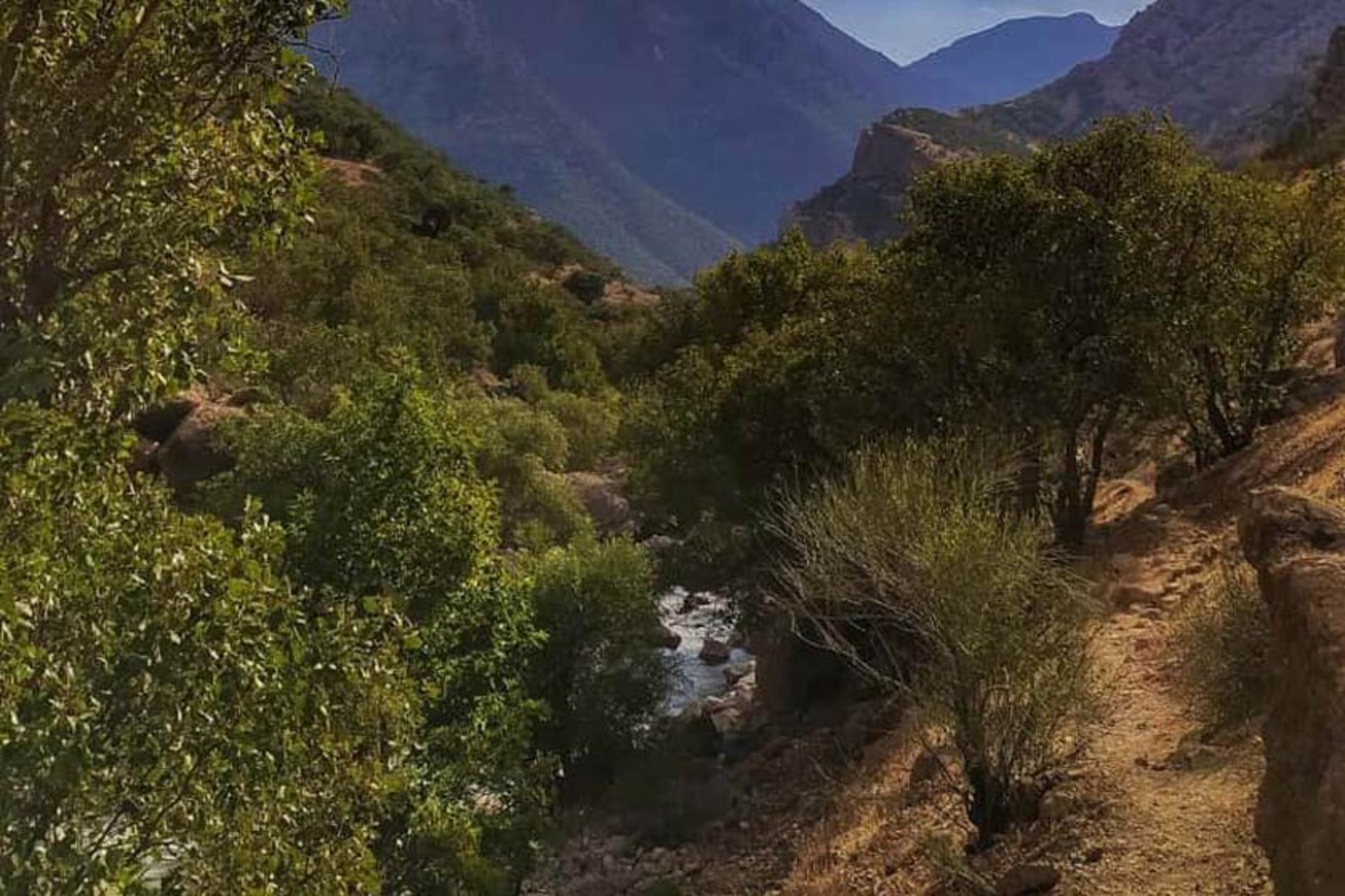 طبیعت بکر دره نی گاه
