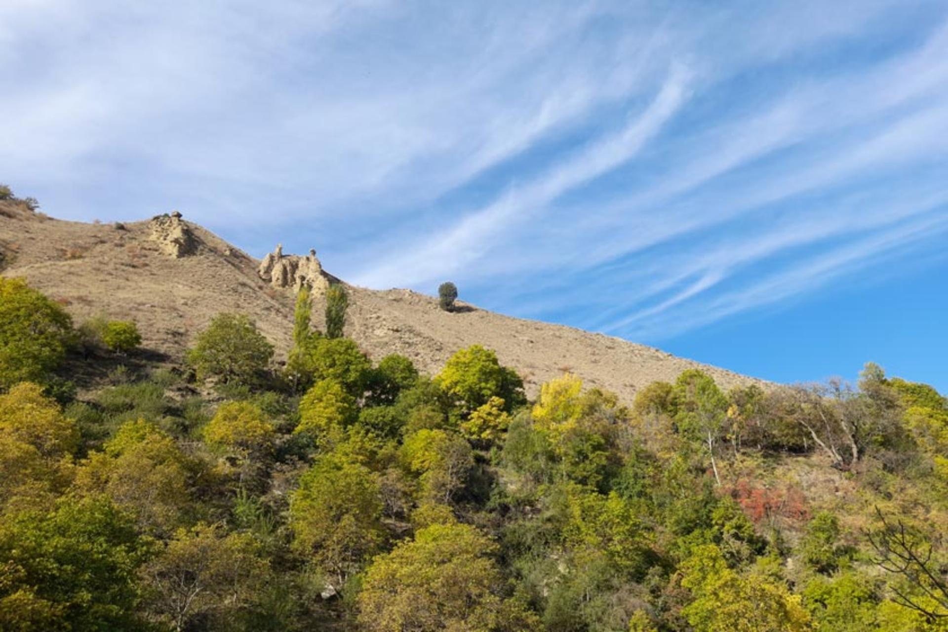 طبیعت پیرامون روستای نیاک