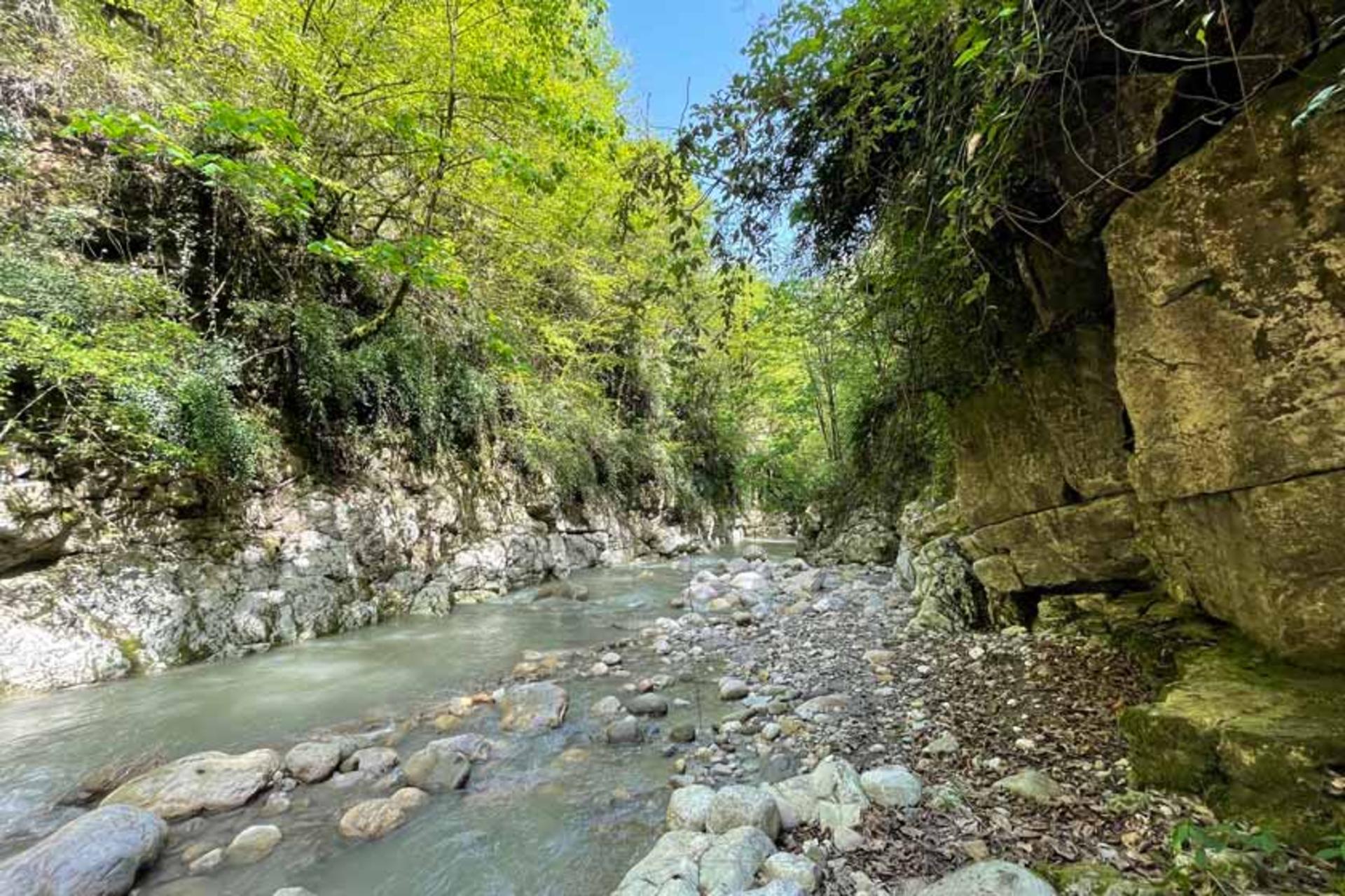 طبیعت بکر تنگ دار