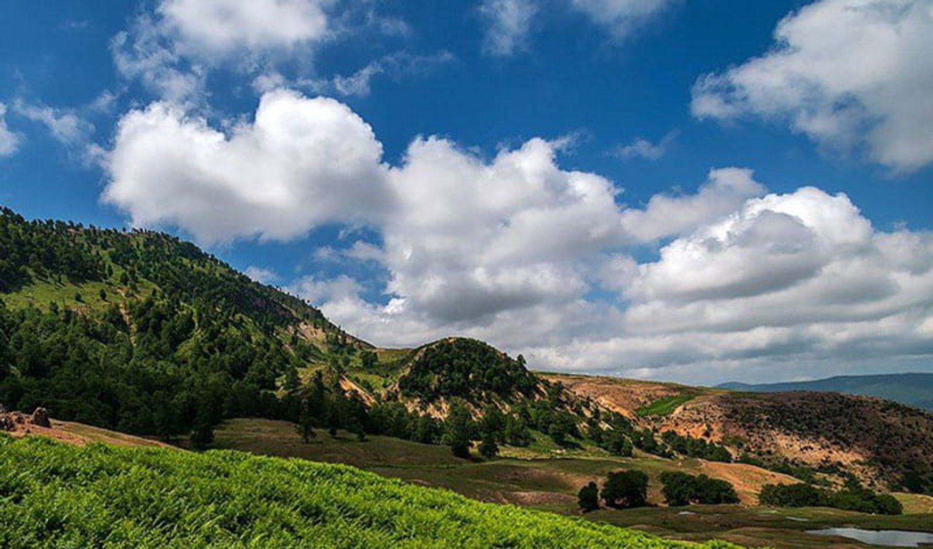 پارک جنگلی جهان نما در ارتفاعات سرسبز مینودشت