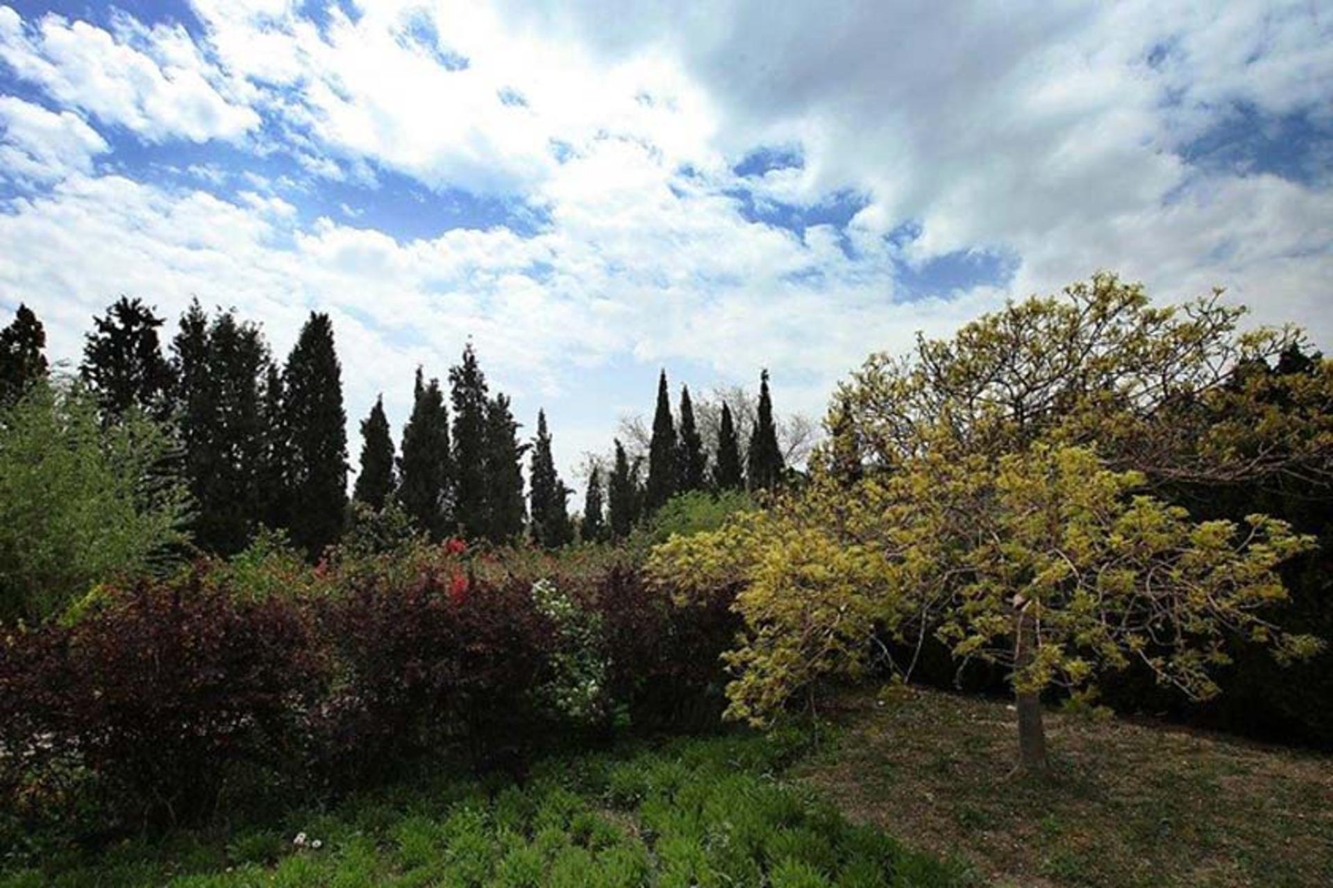 درختان گوناگون در باغ‌ گیاه‌ شناسی ملی ایران