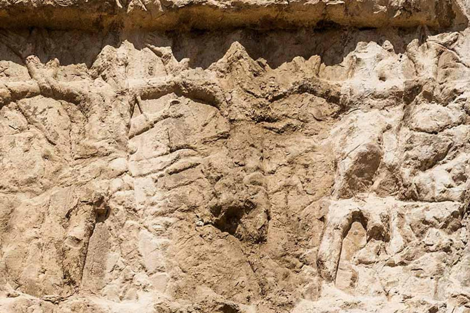نقش‌برجسته‌های آرامگاه داریوش اول
