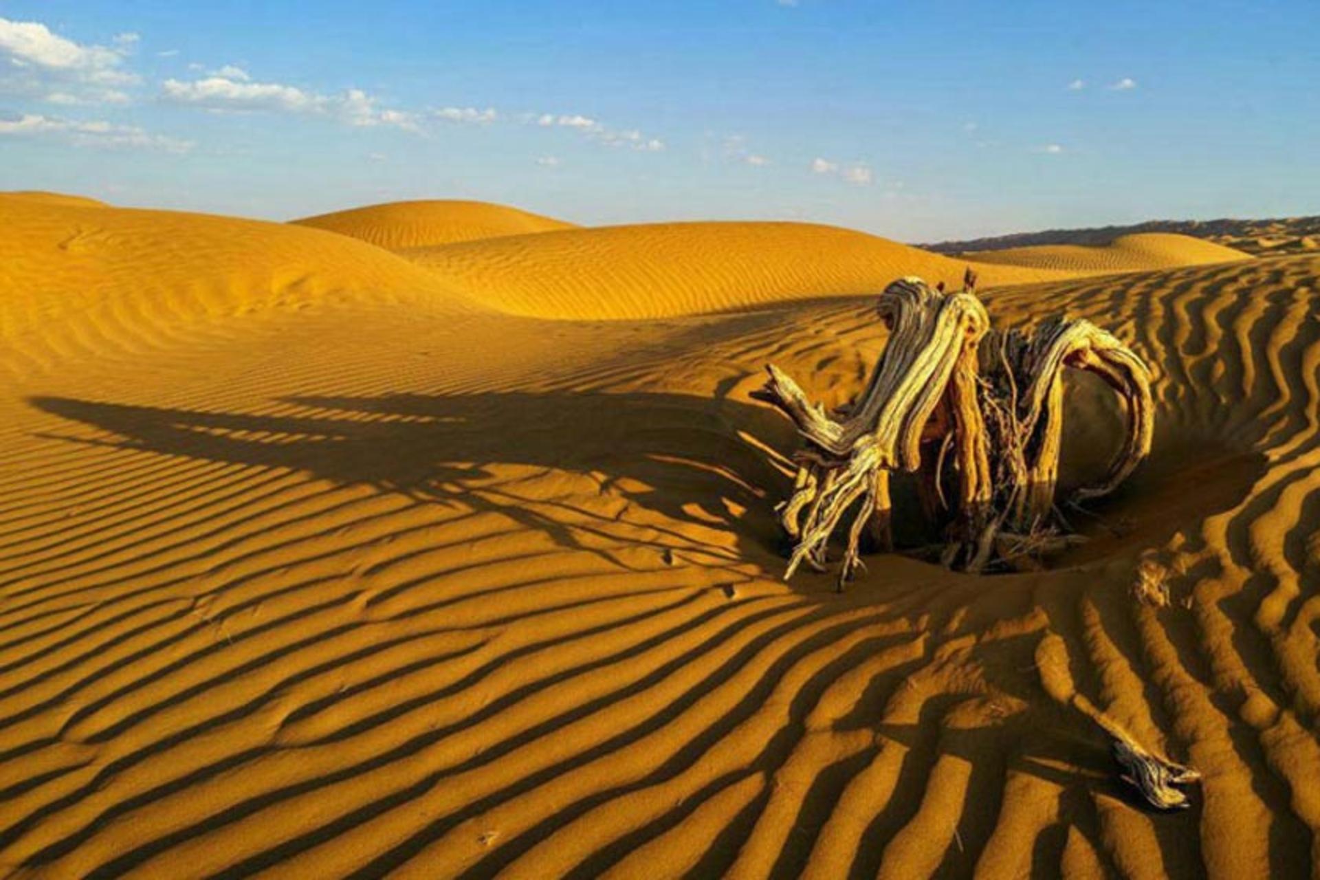 رمل‌های کویر لوت
