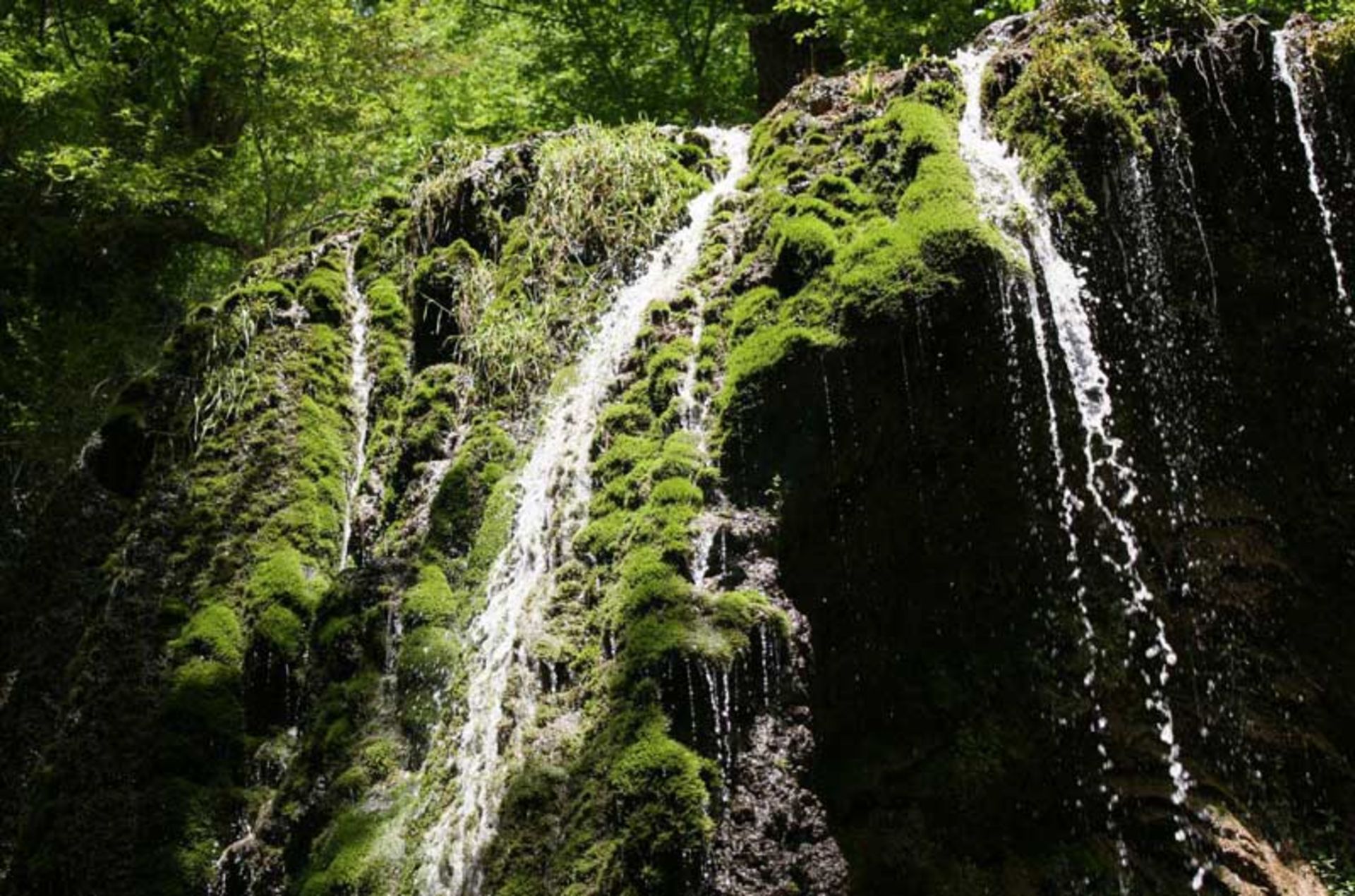 آبشار اسپه او بر صخره های خزه ای از نمای نزدیک