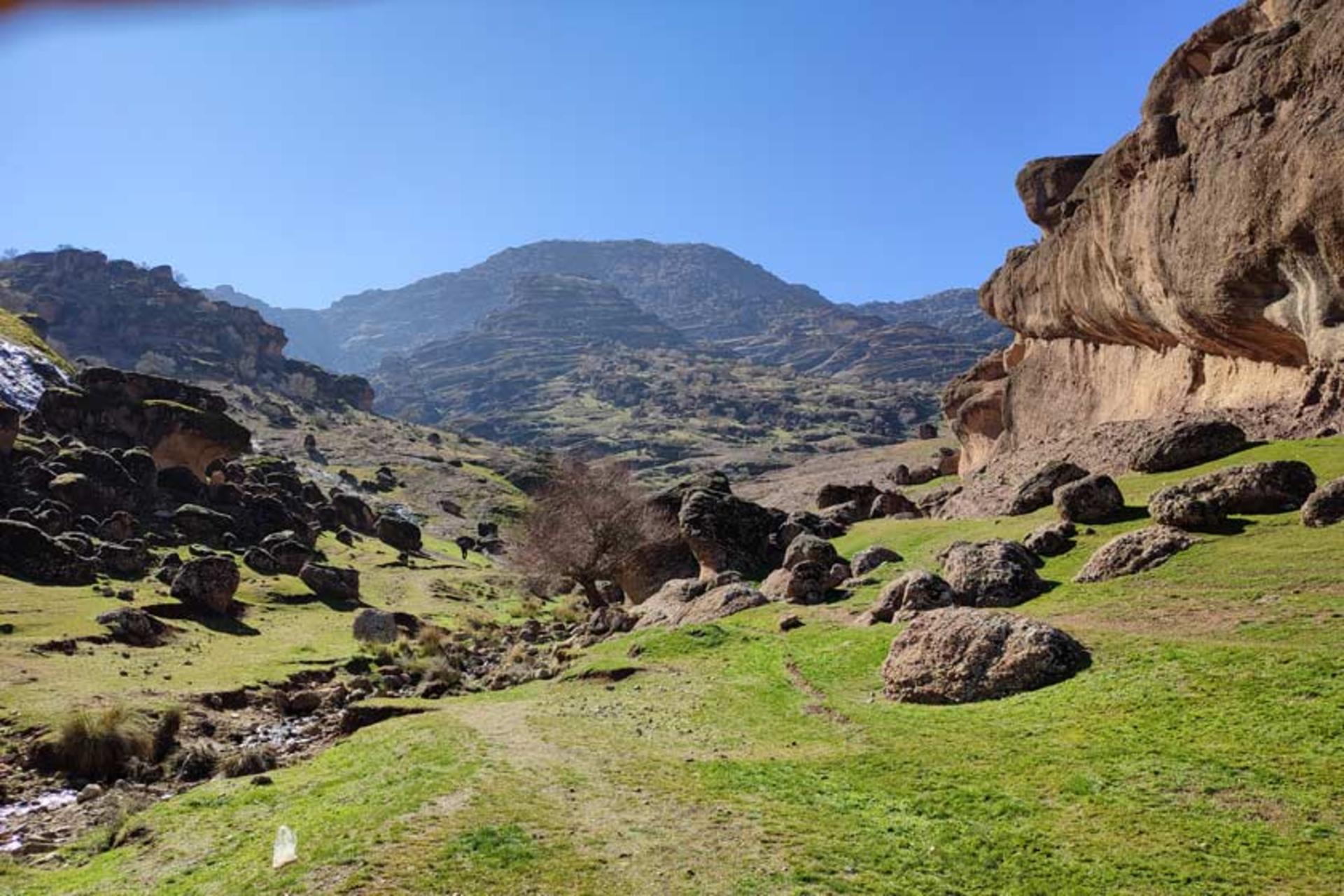 صخره‌های خزه‌پوش در پارک جنگلی مخمل کوه